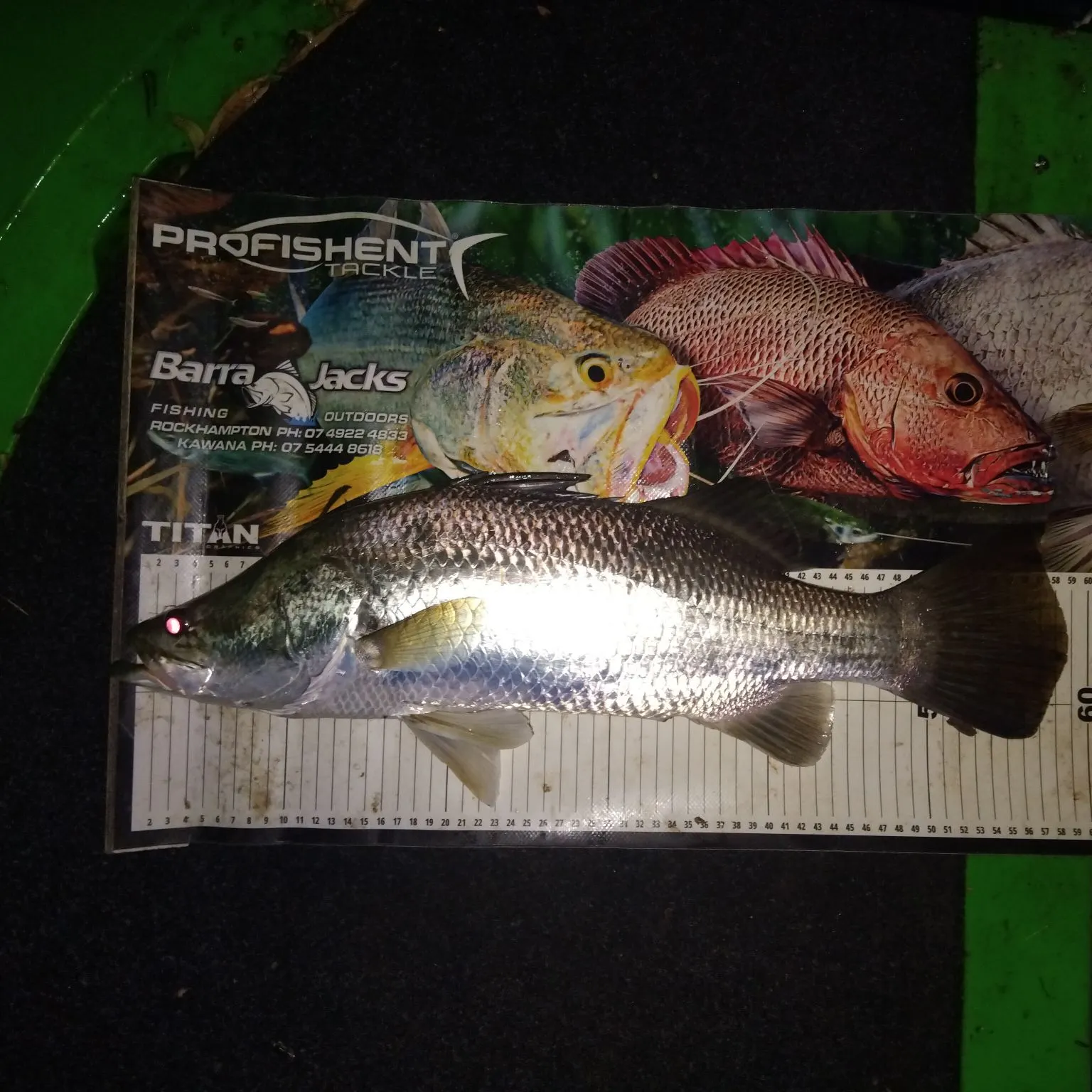 The most recent Barramundi catches on Fishbrain