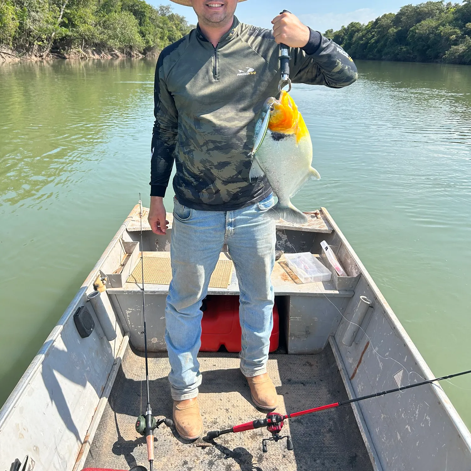 The most recent San Francisco piranha catches on Fishbrain