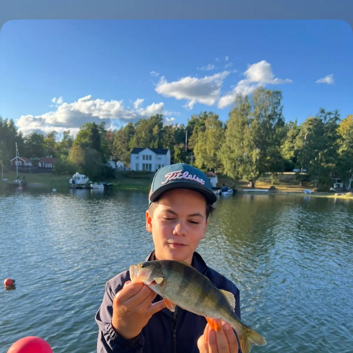 European perch caught on Fishbrain