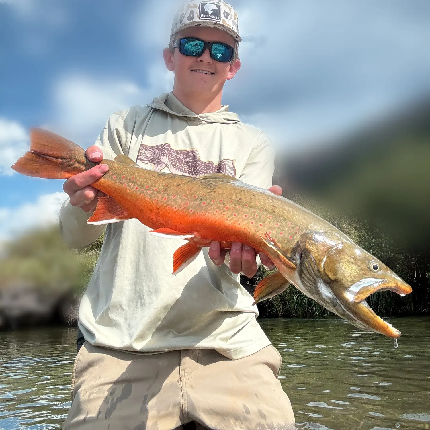 Bull trout caught on Fishbrain