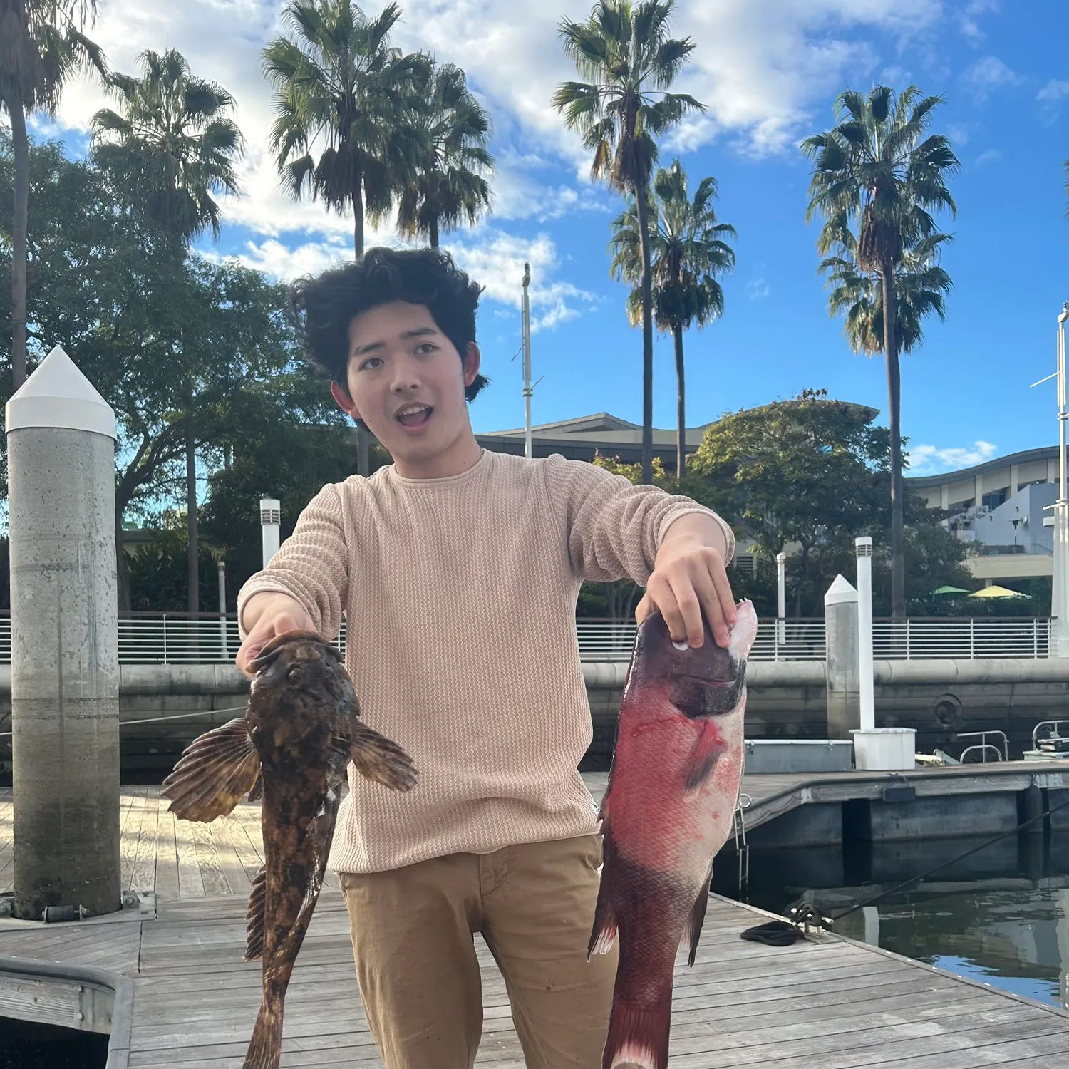 The most recent Cabezon catches on Fishbrain