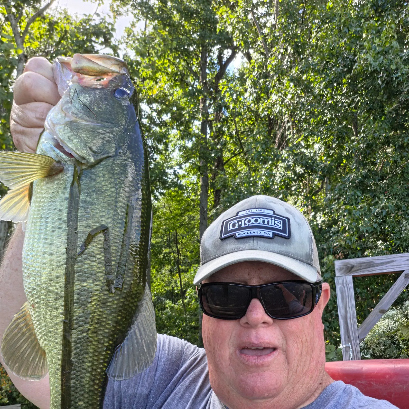 Largemouth bass caught on Fishbrain
