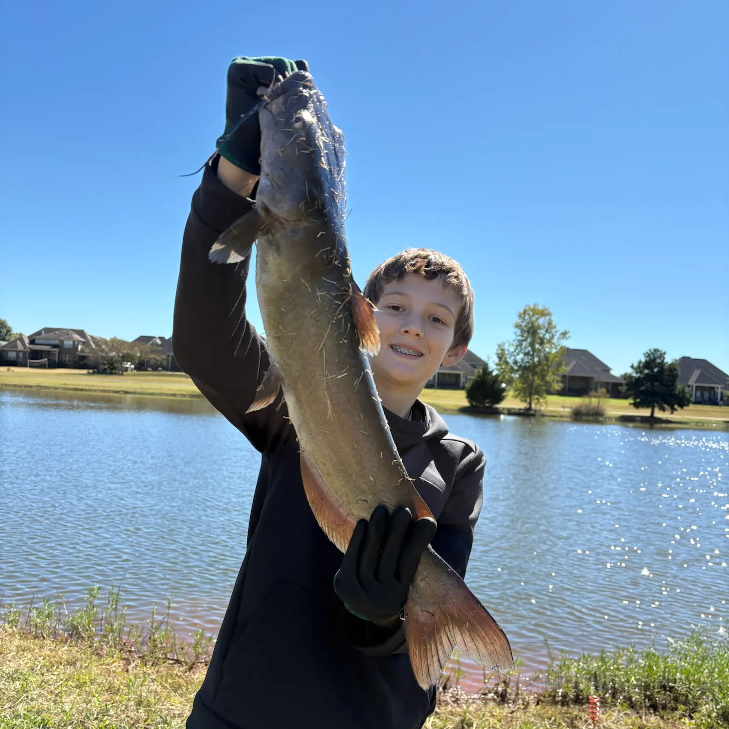 Channel catfish caught on Fishbrain