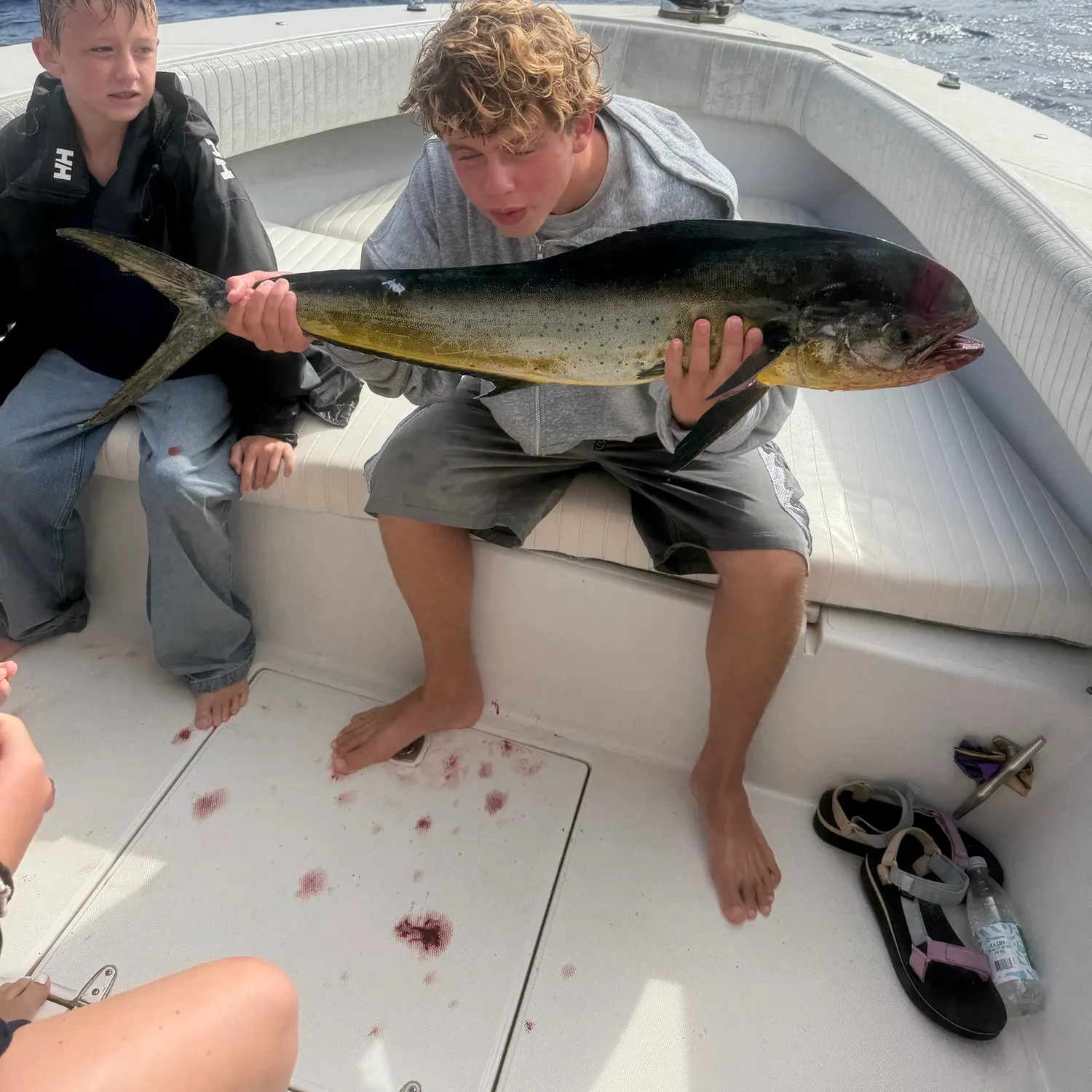 Common dolphinfish caught on Fishbrain