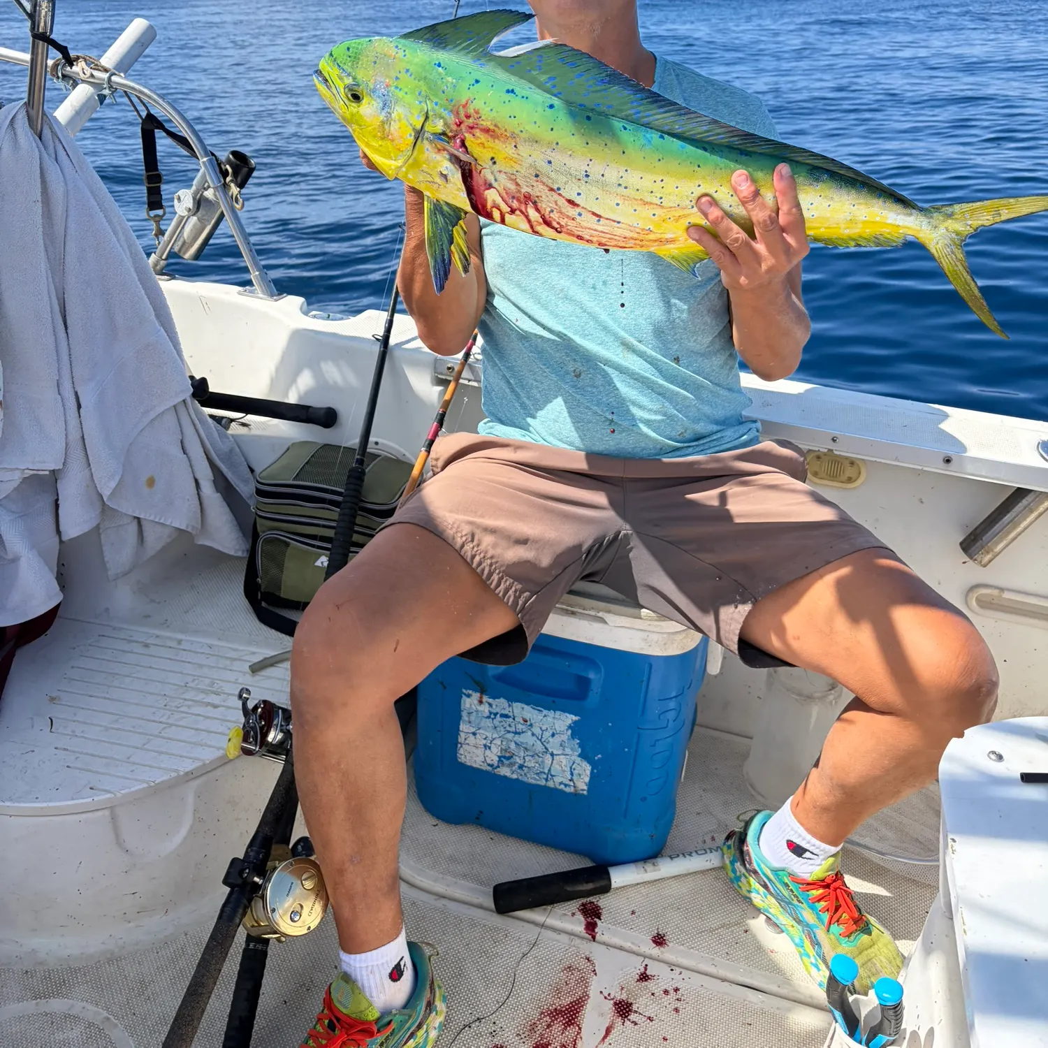 Common dolphinfish caught on Fishbrain