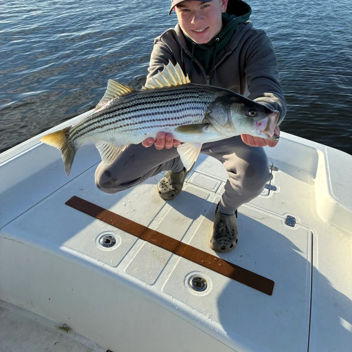 Striped bass caught on Fishbrain
