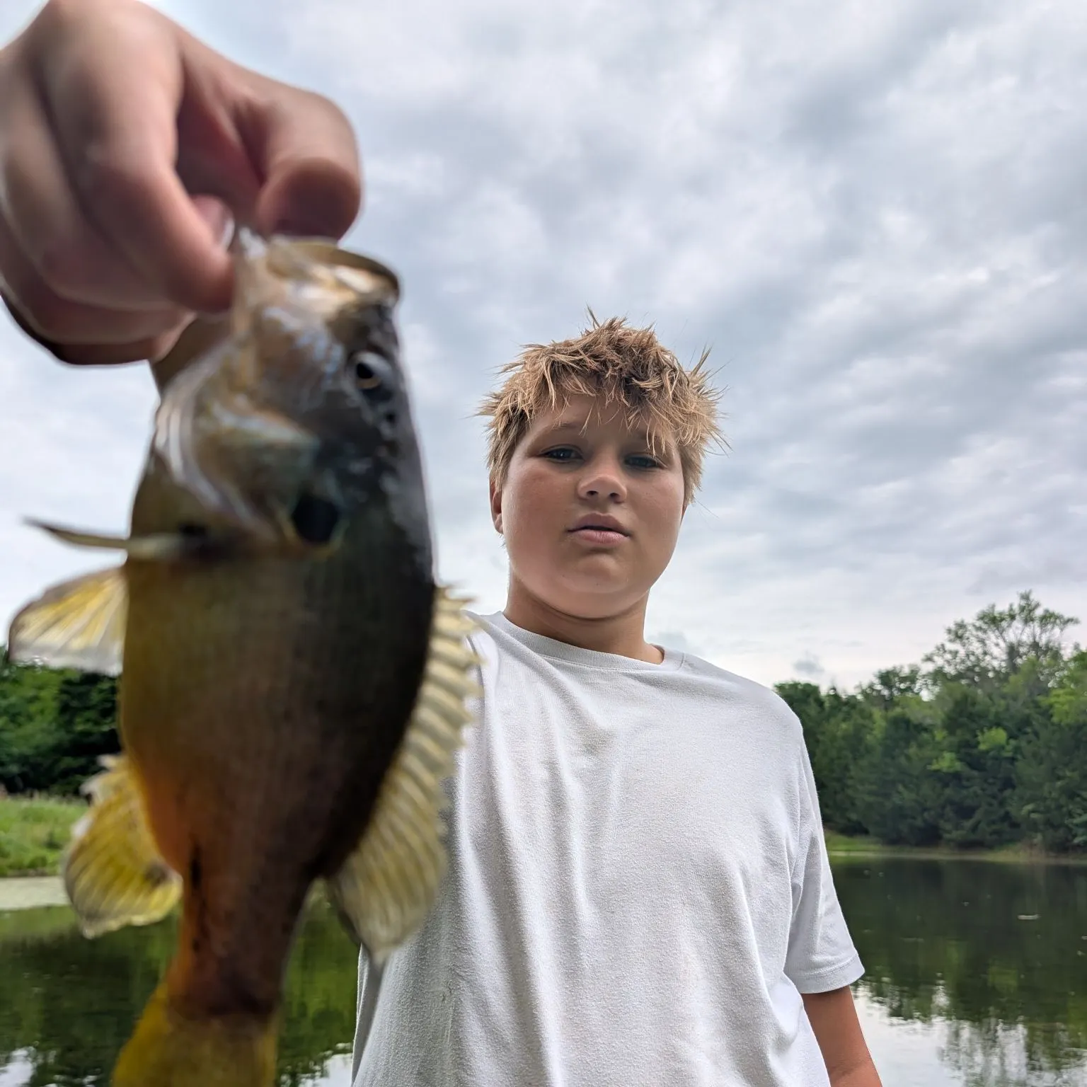 The most recent Common logperch catches on Fishbrain