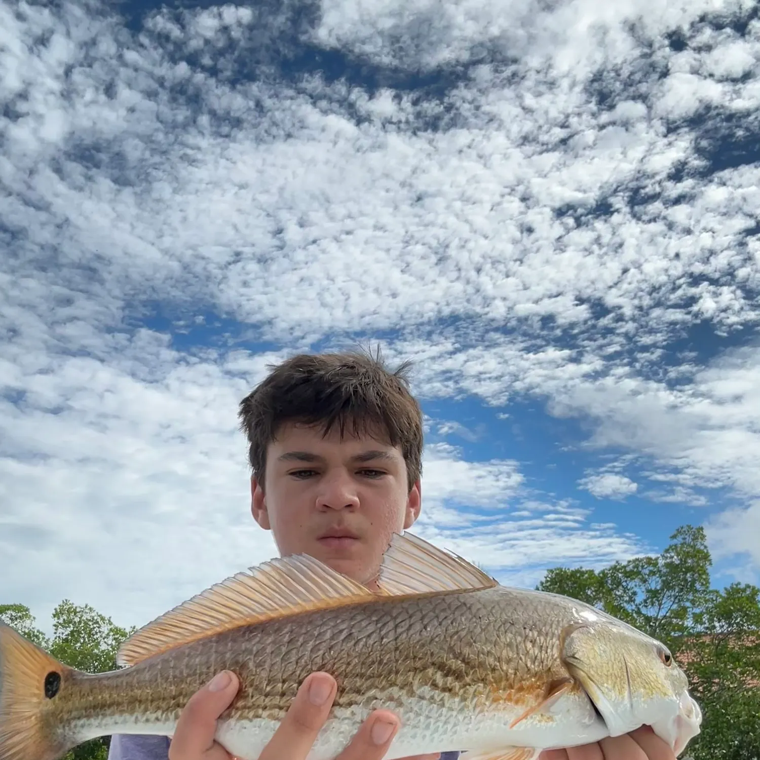 Red drum caught on Fishbrain