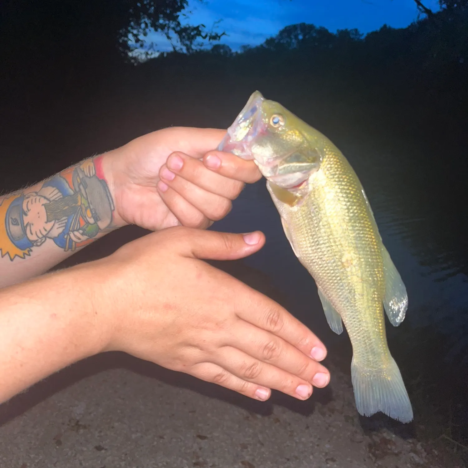 catch