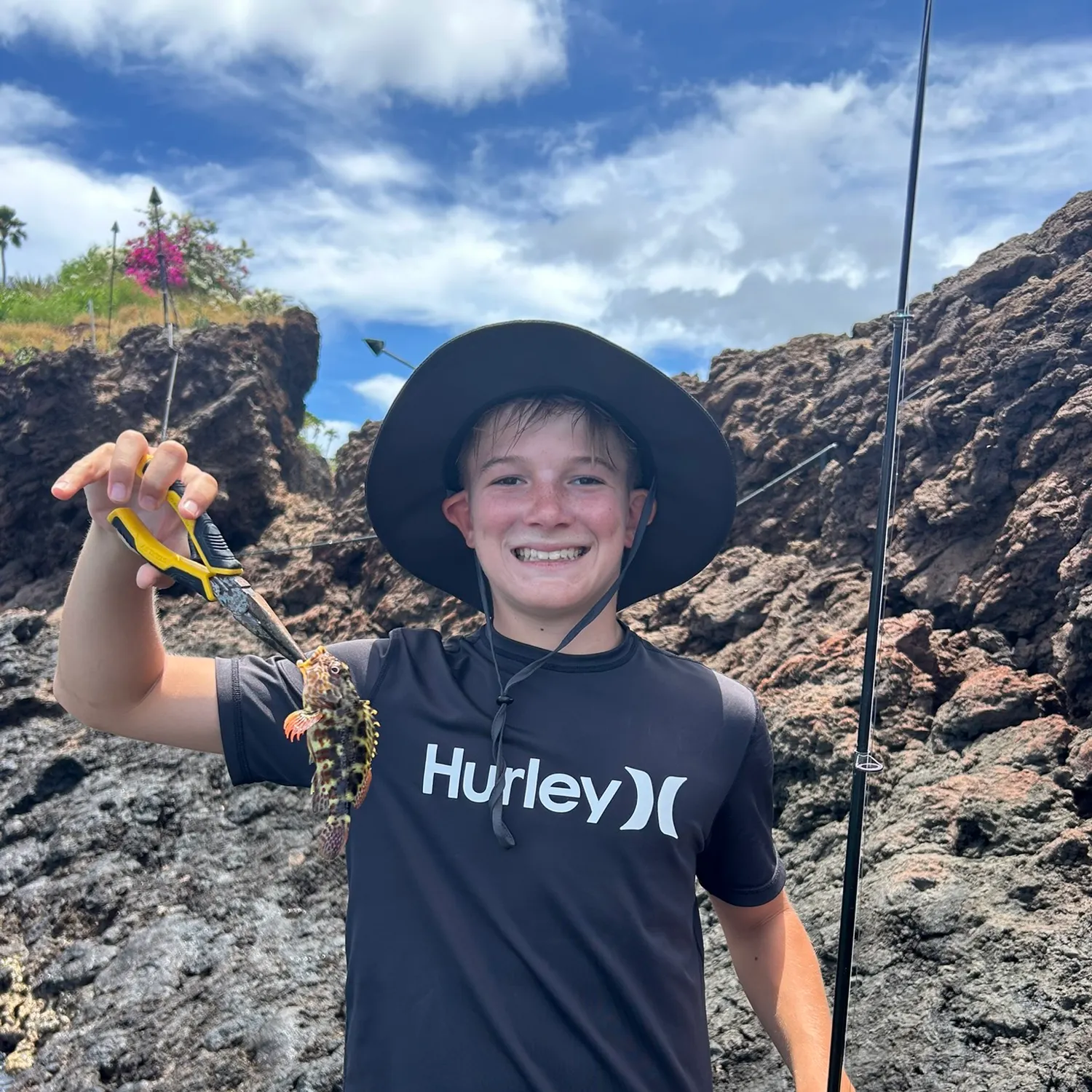 The most recent Stocky hawkfish catches on Fishbrain