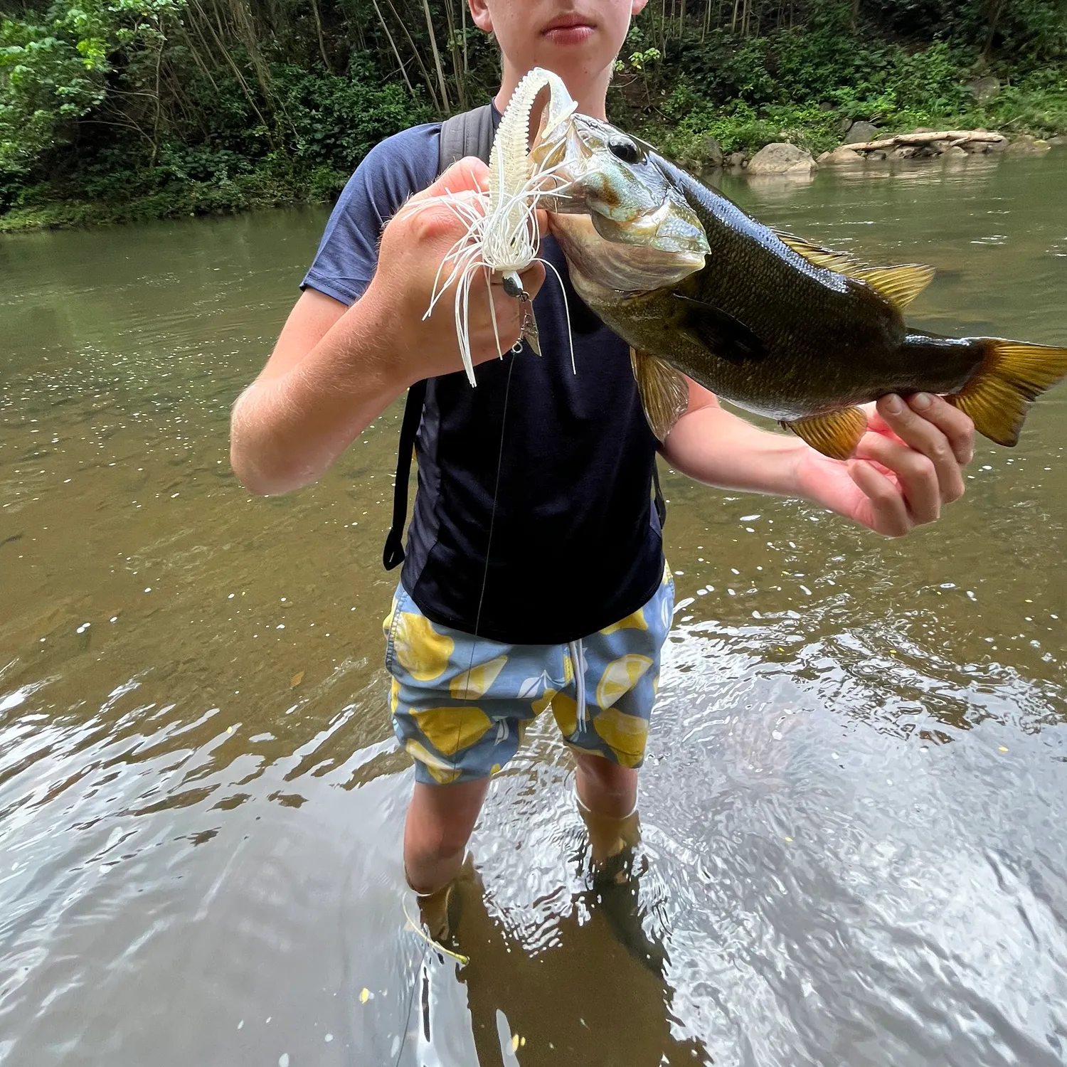 Smallmouth bass caught on Fishbrain