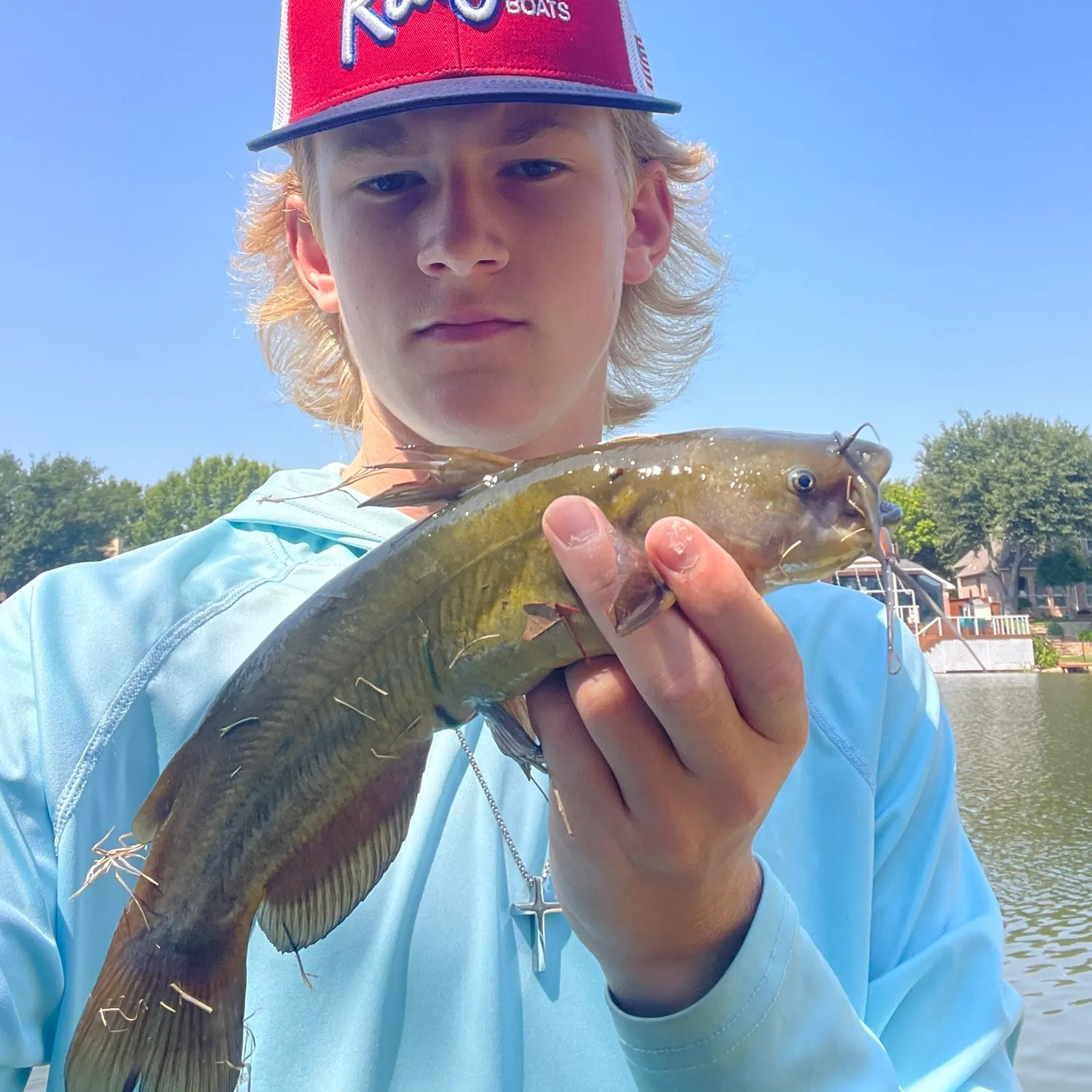 Yellow bullhead caught on Fishbrain