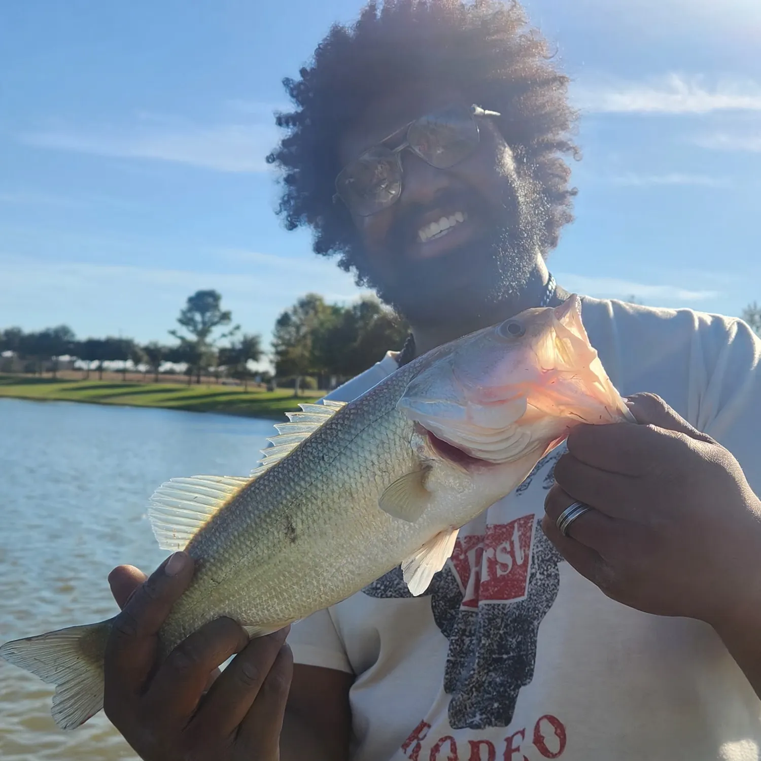 Largemouth bass caught on Fishbrain