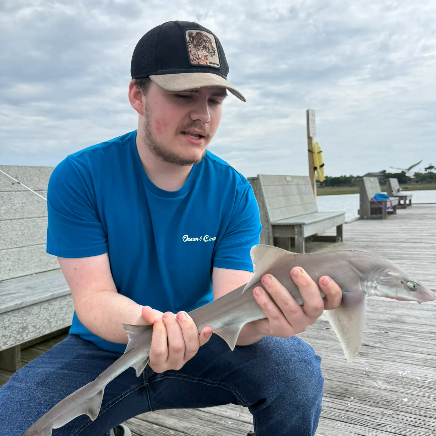 The most recent Dusky smooth-hound catches on Fishbrain