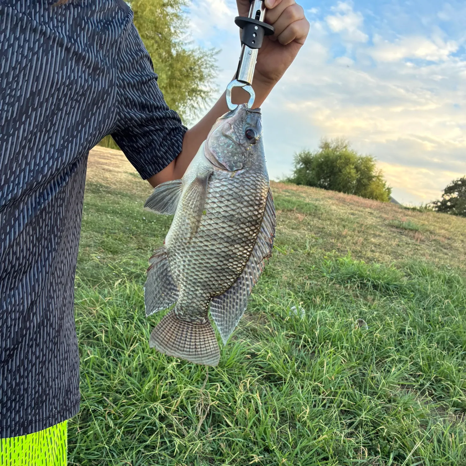 Fish caught on Fishbrain