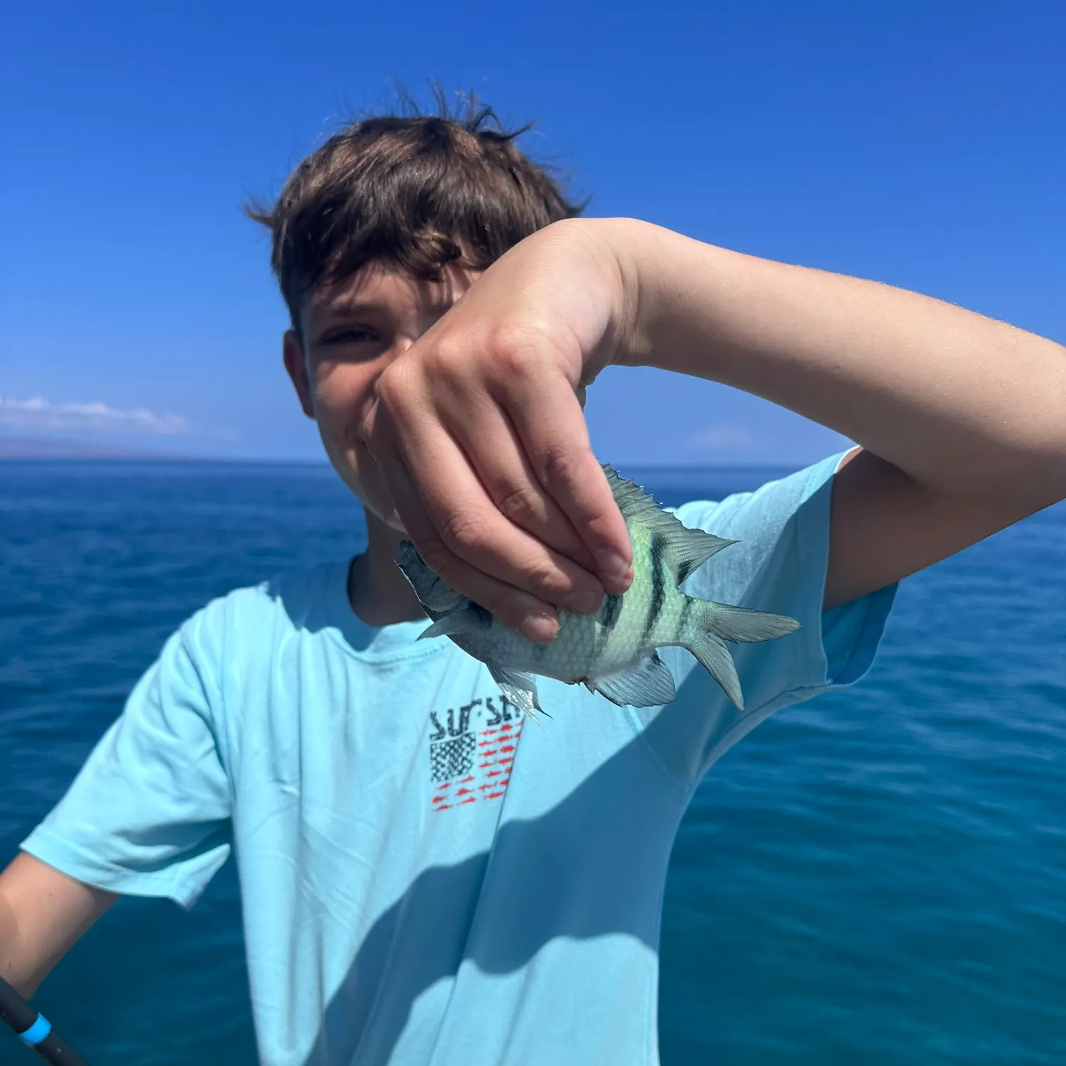 The most recent Hawaiian sergeant major catches on Fishbrain