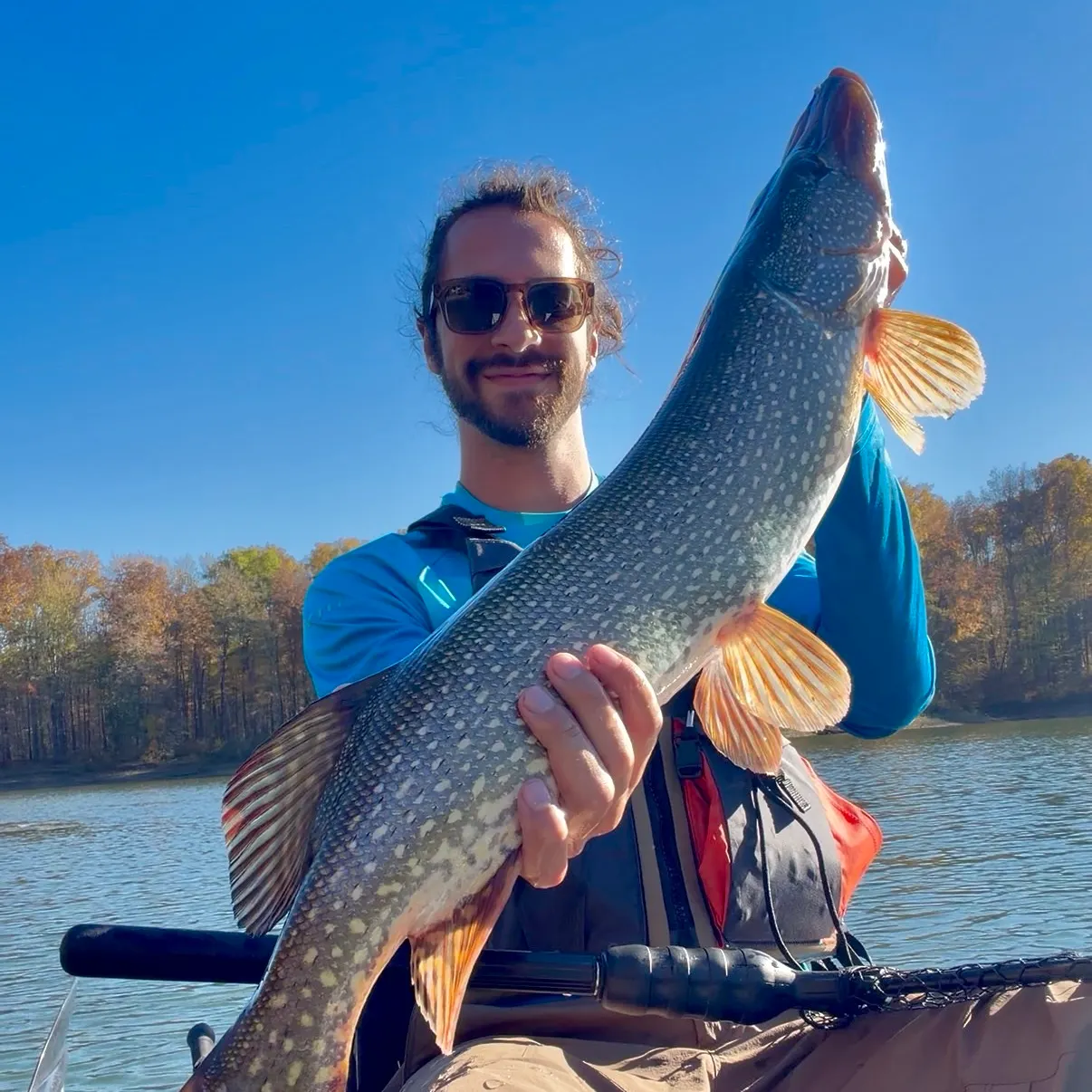 Northern pike caught on Fishbrain