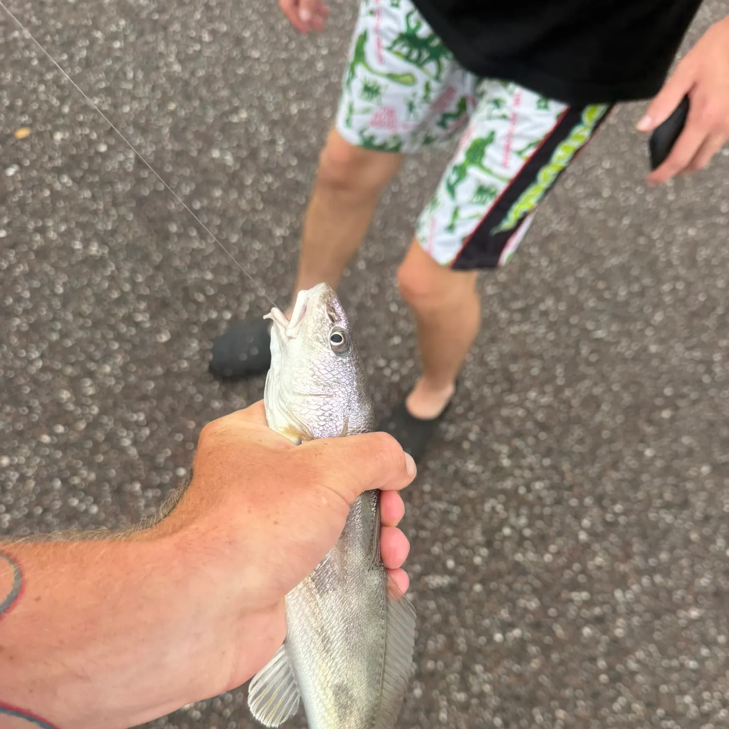 catch