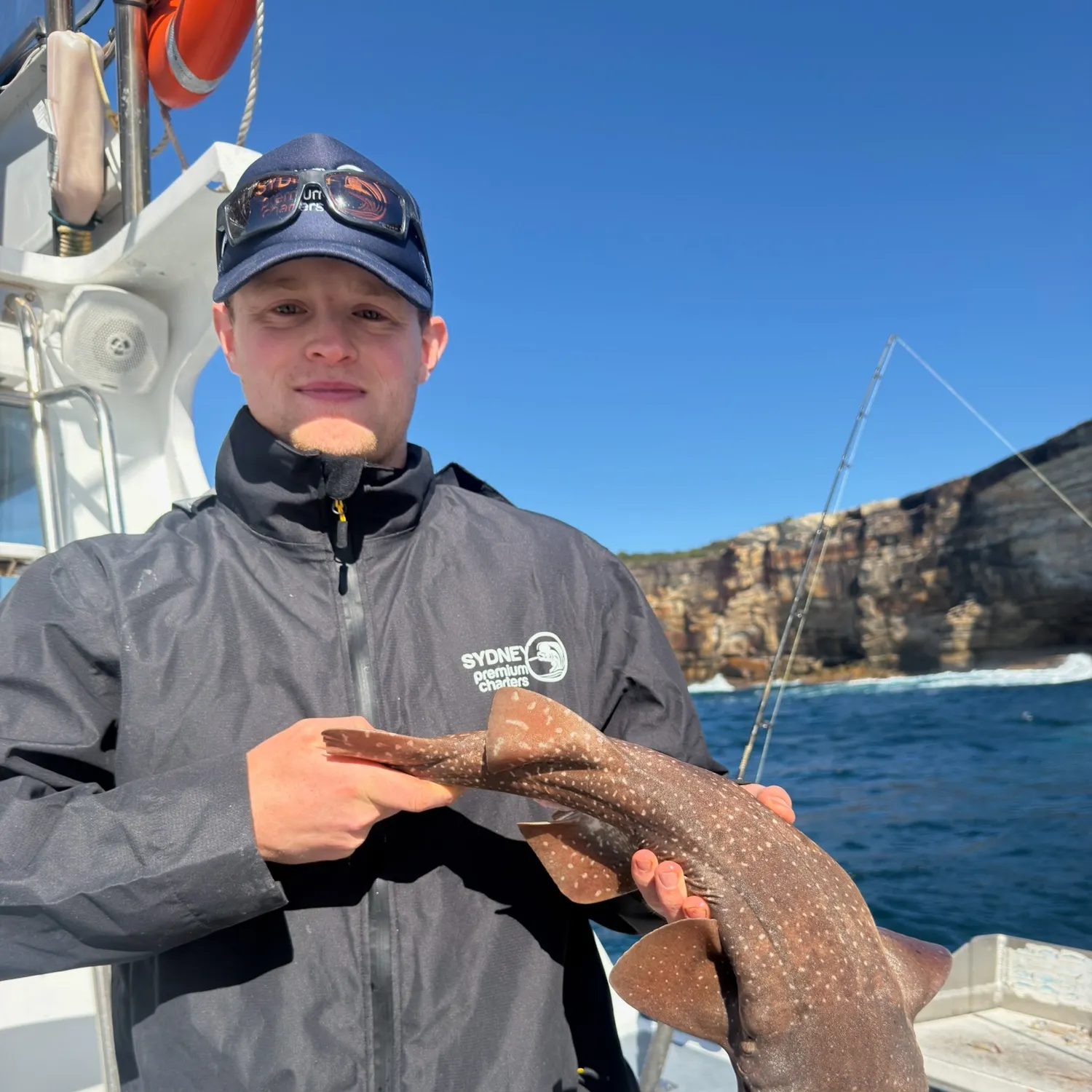 The most recent Blind shark catches on Fishbrain