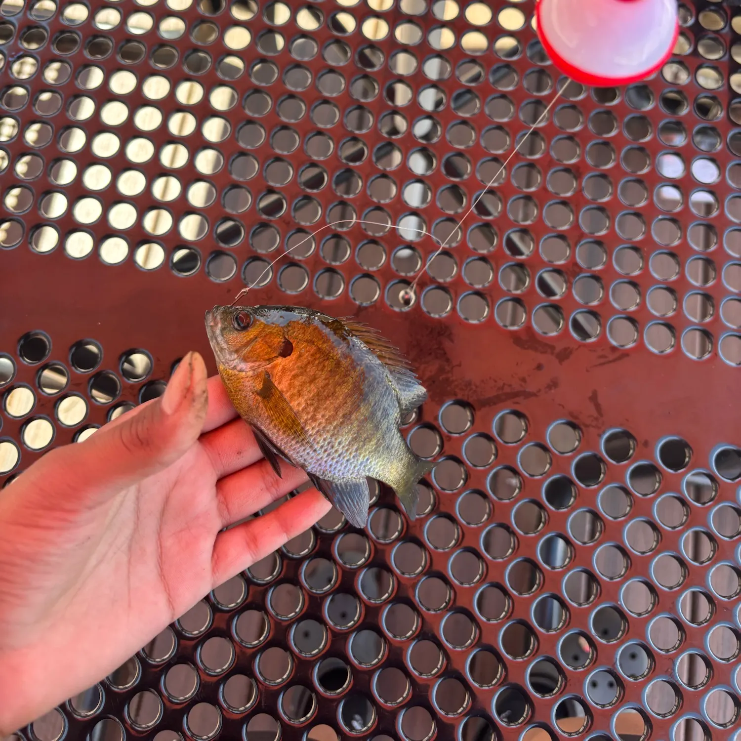 catch