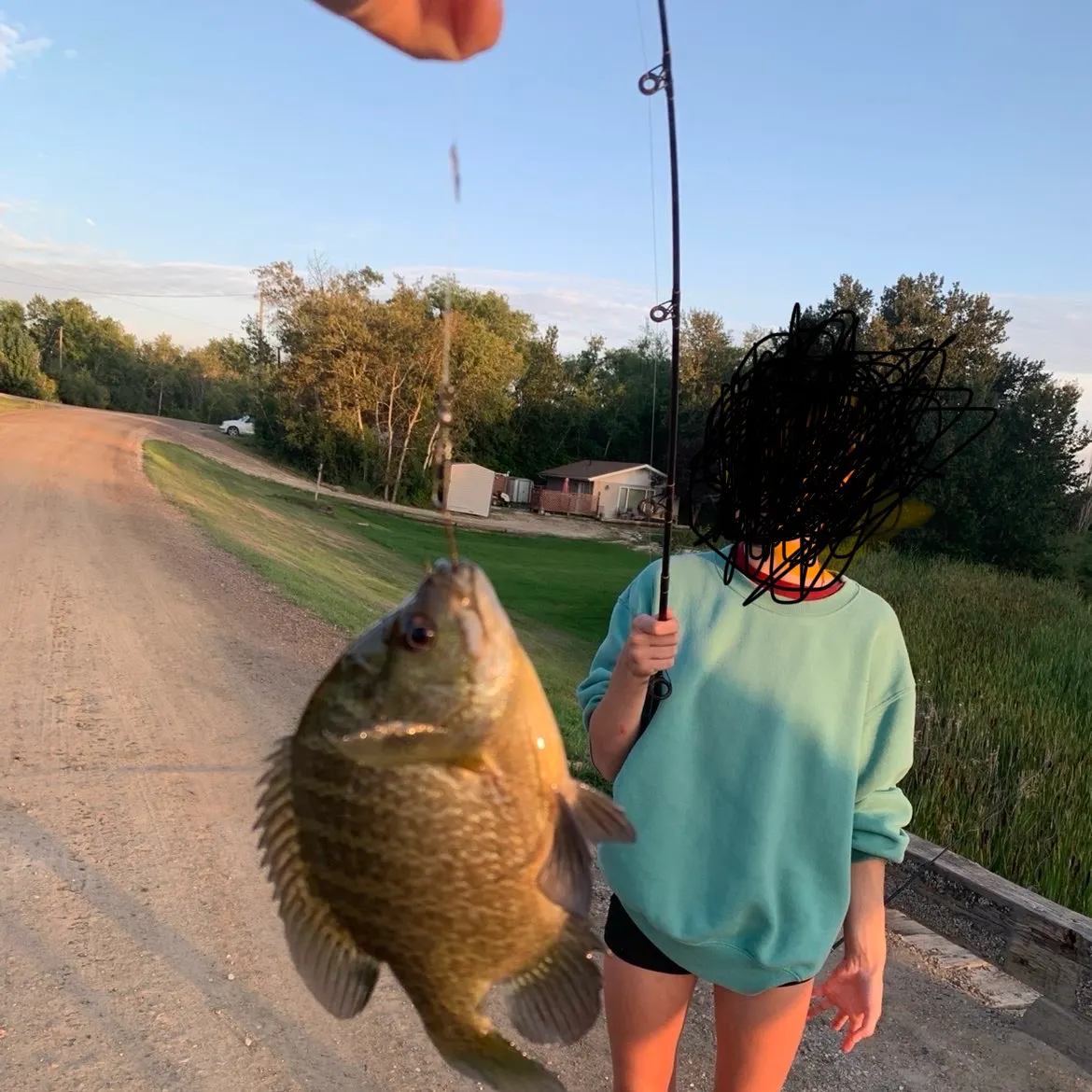 Bluegill caught on Fishbrain