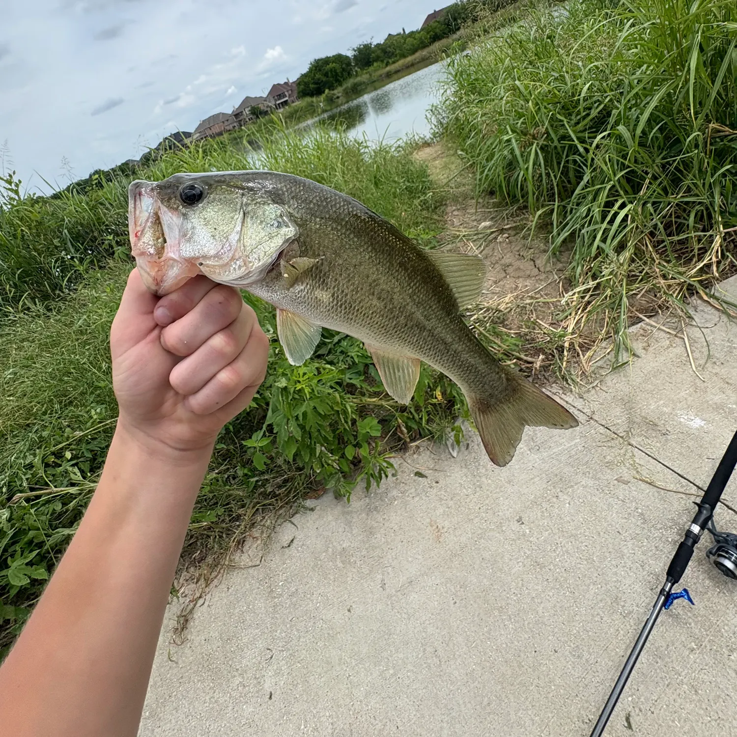 angler catch