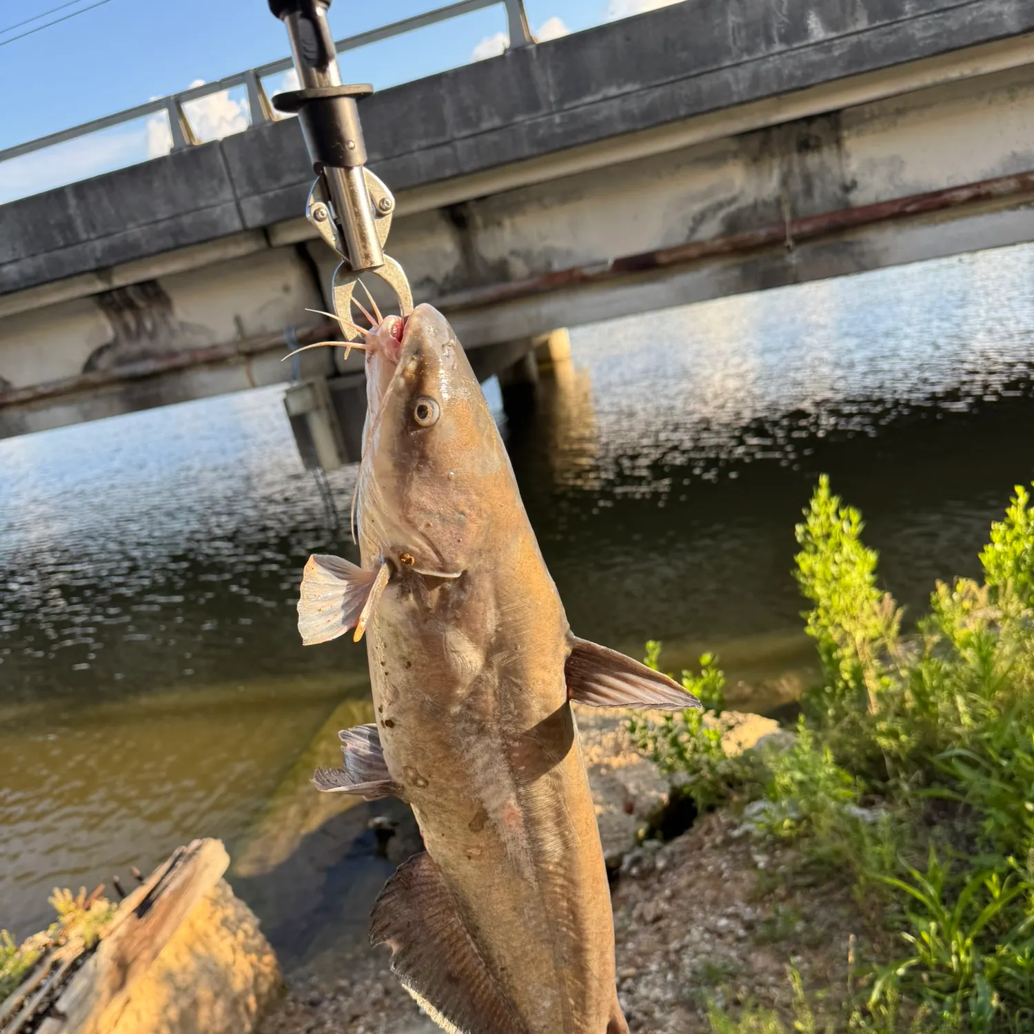 catch