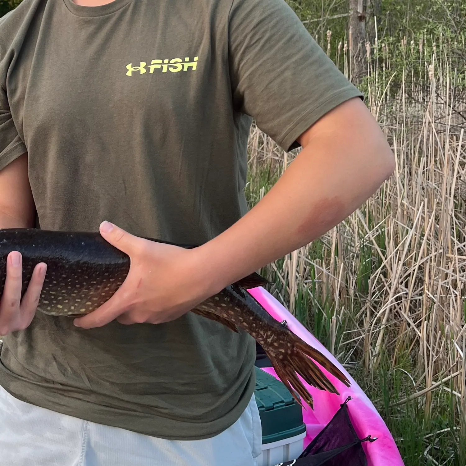 angler catch