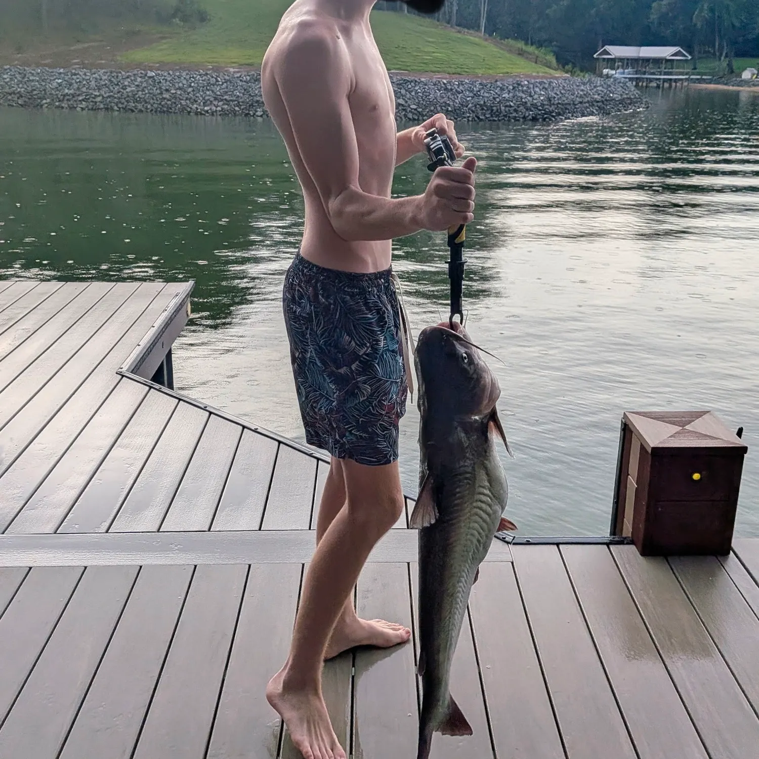 Blue catfish caught on Fishbrain