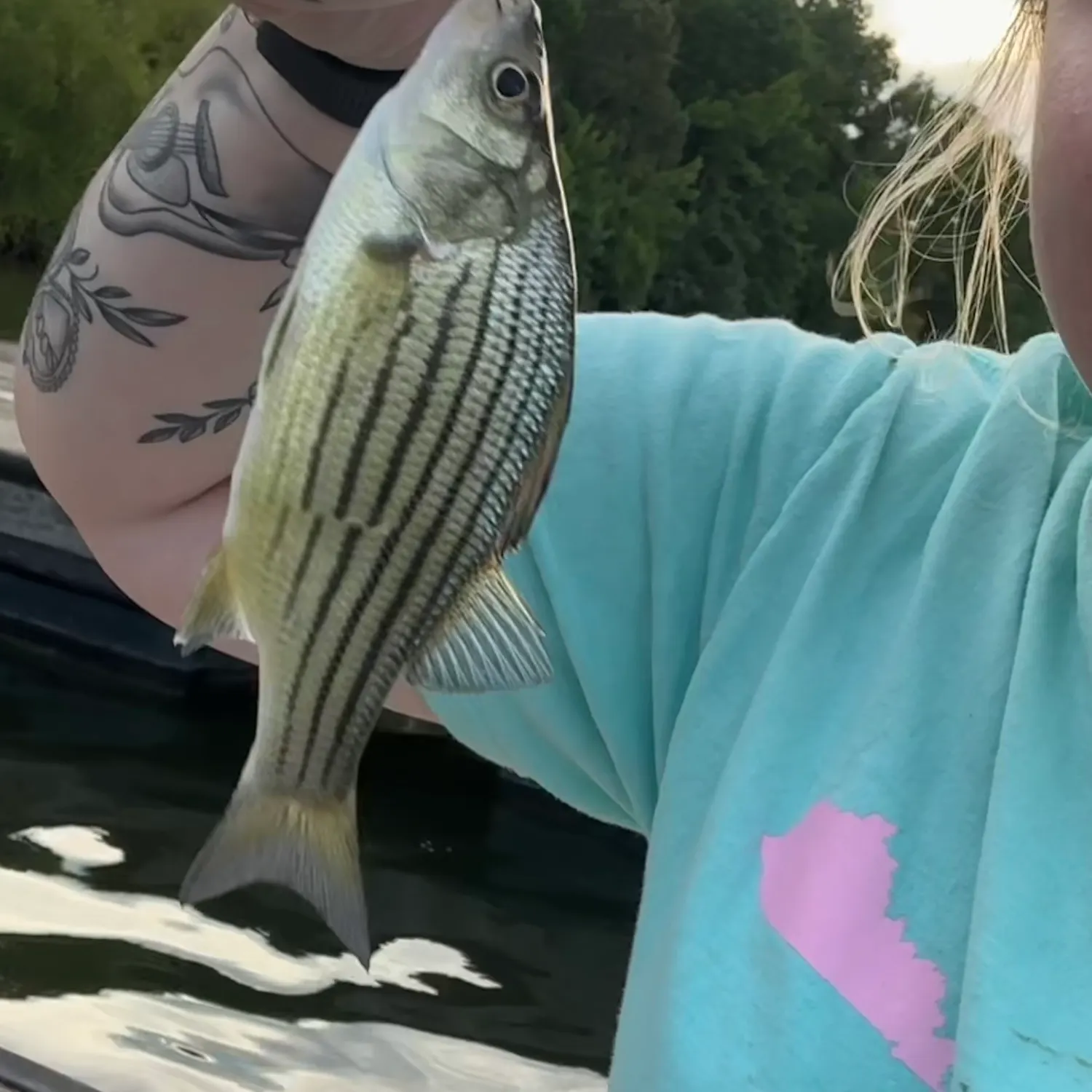 recently logged catches