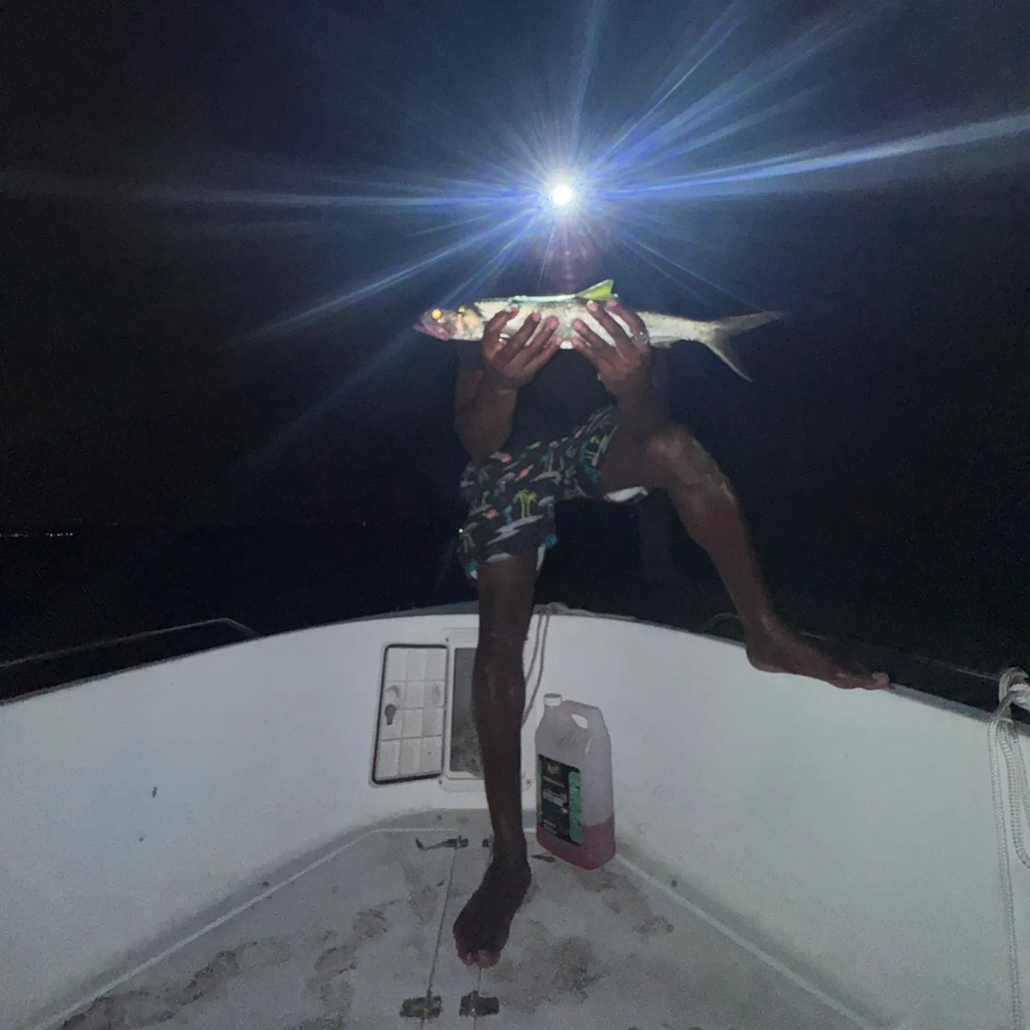 Ladyfish caught on Fishbrain