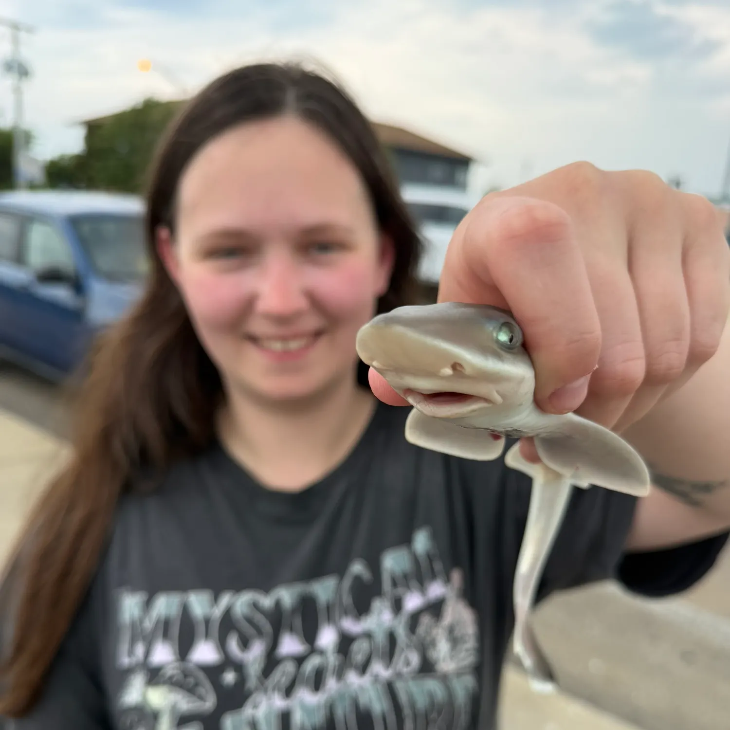 The most recent Northern spiny dogfish catches on Fishbrain