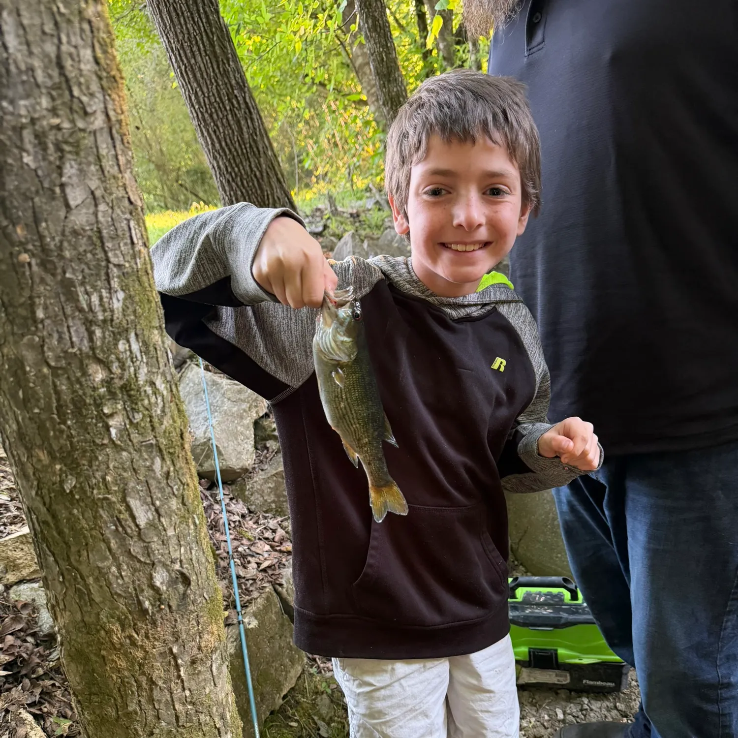 The most recent Redeye bass catches on Fishbrain