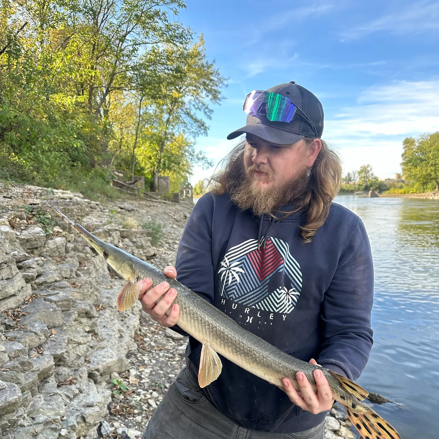 Longnose gar caught on Fishbrain