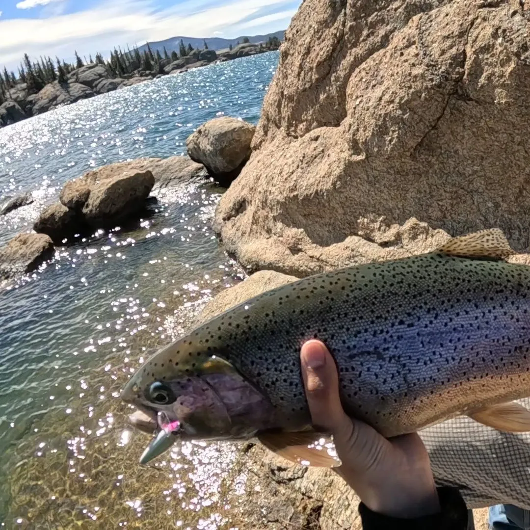 The most recent Cutbow catches on Fishbrain