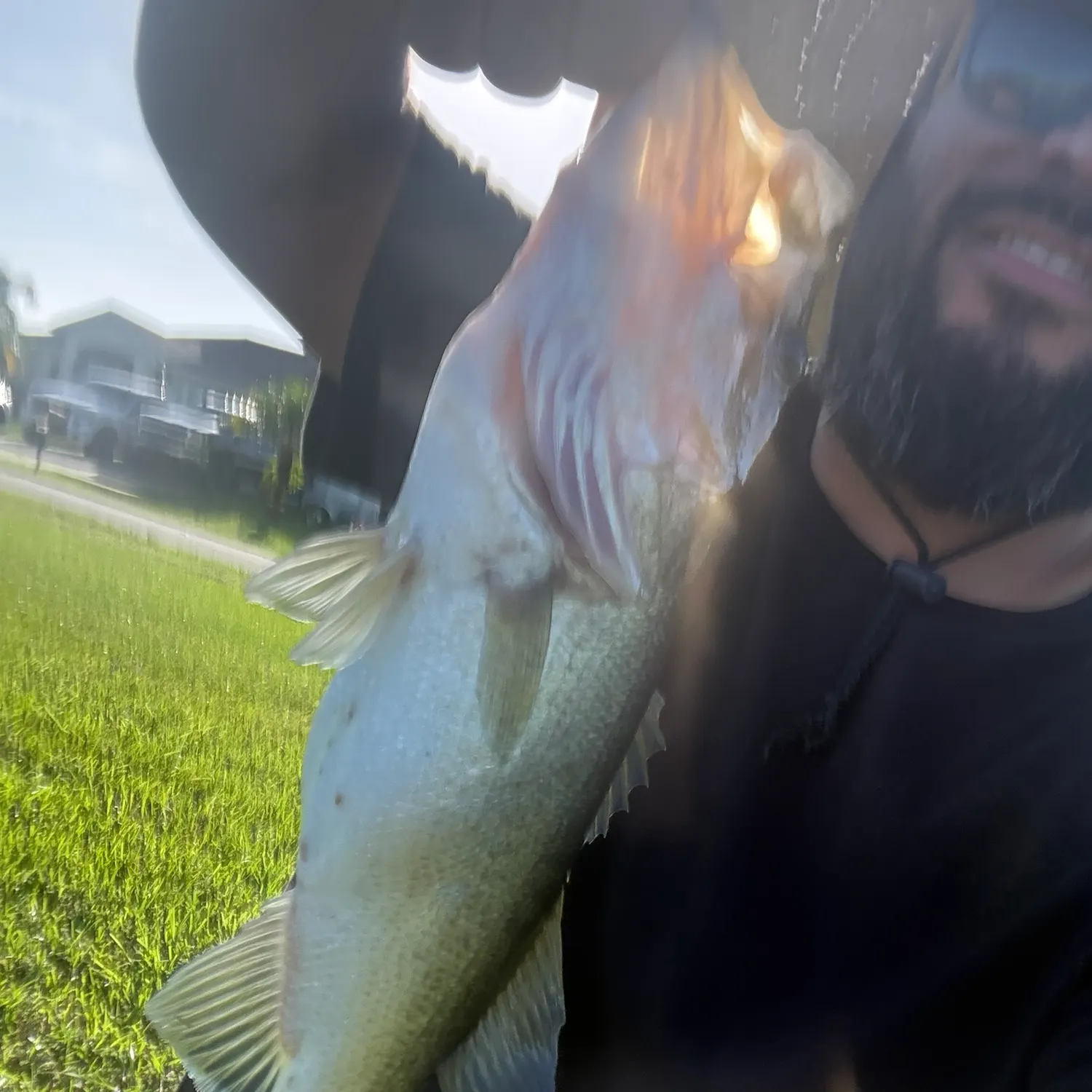 Fish caught on Fishbrain