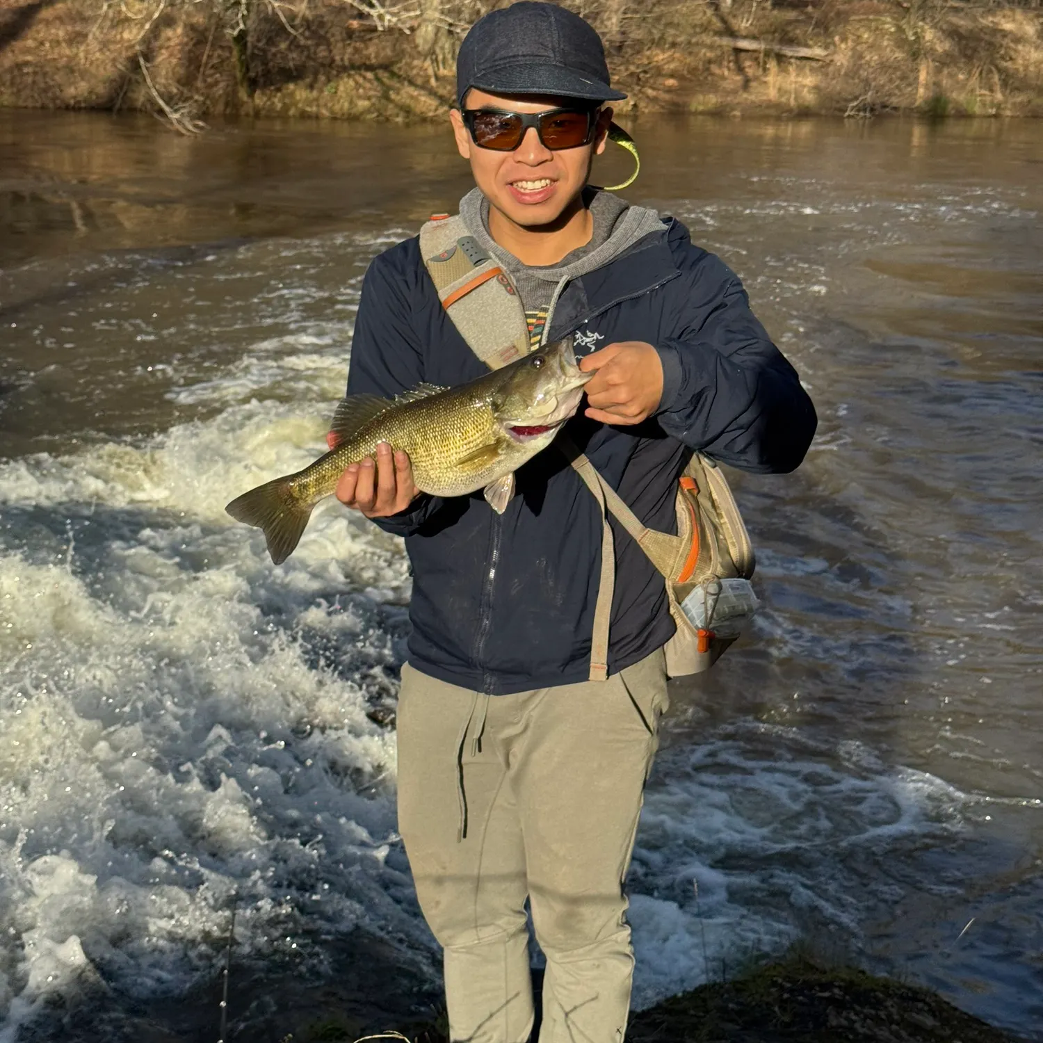 The most recent Shoal bass catches on Fishbrain