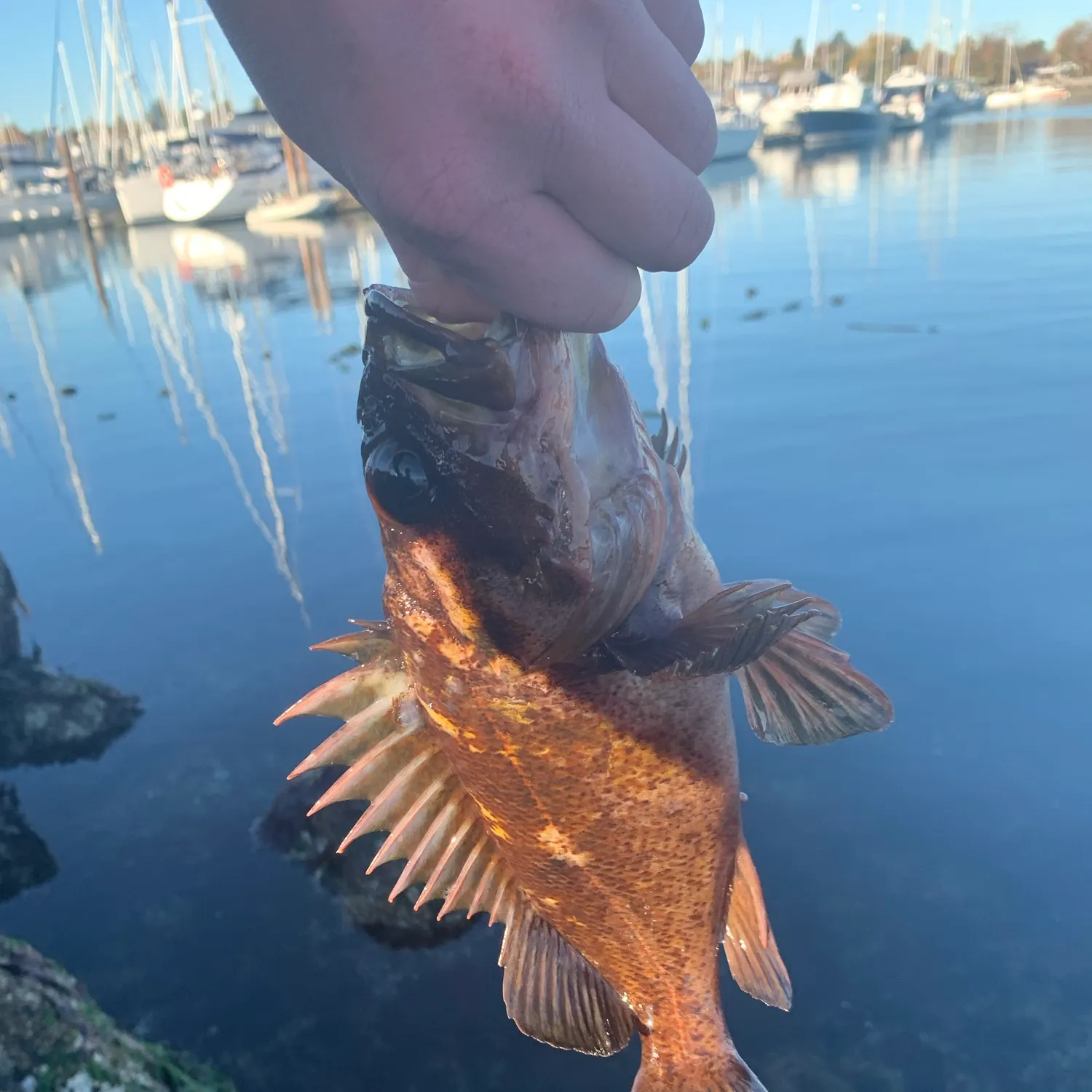 catch