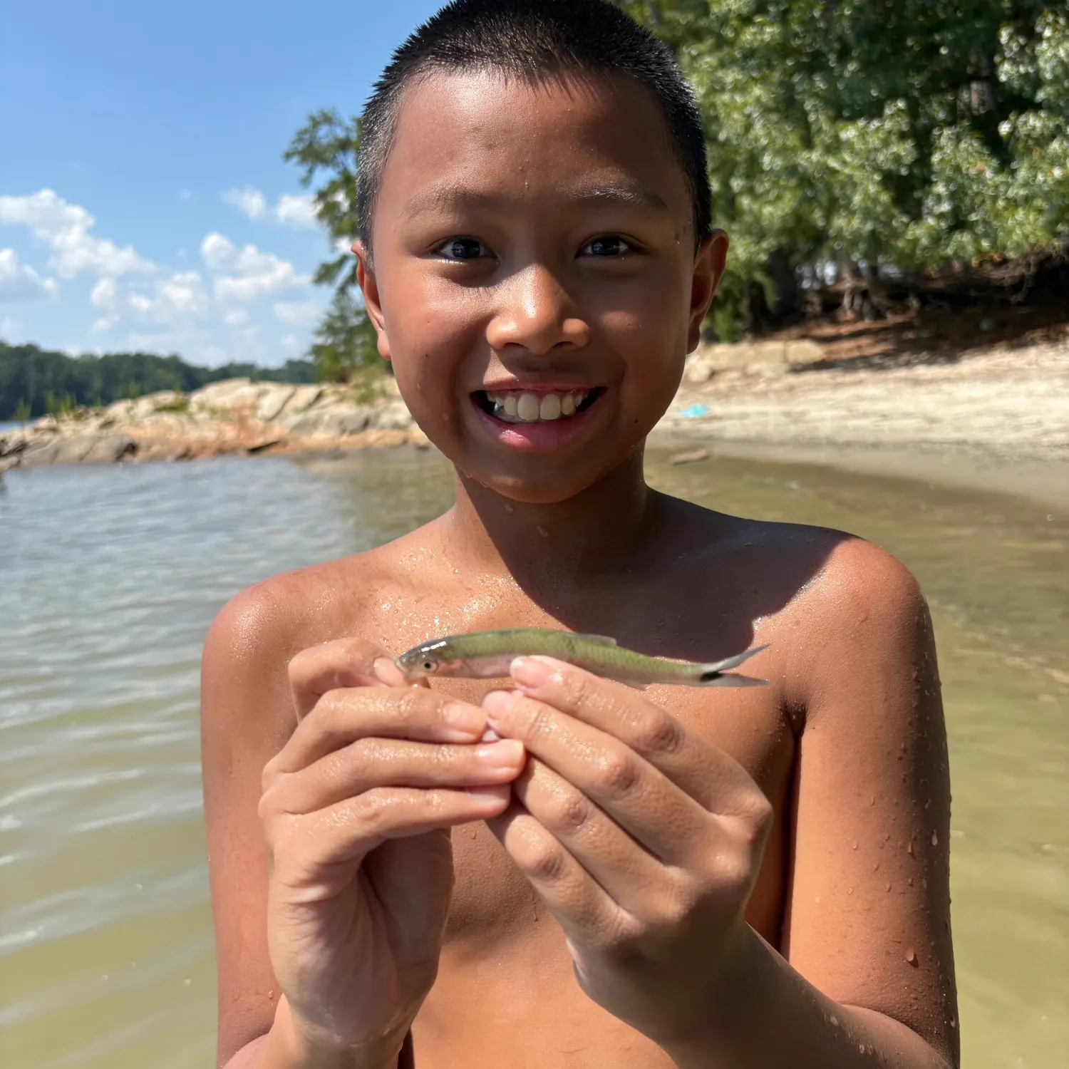 Spottail shiner caught on Fishbrain