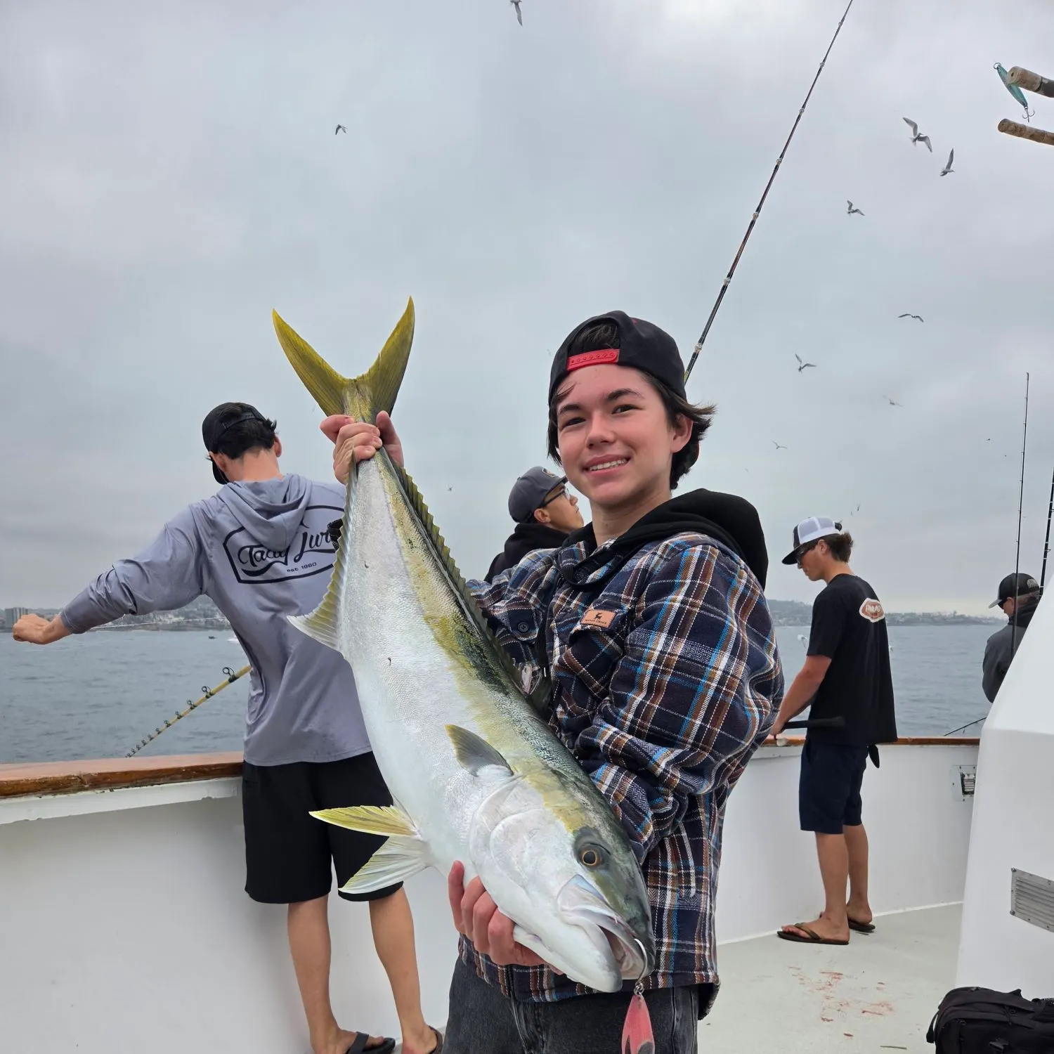 The most recent California yellowtail amberjack catches on Fishbrain