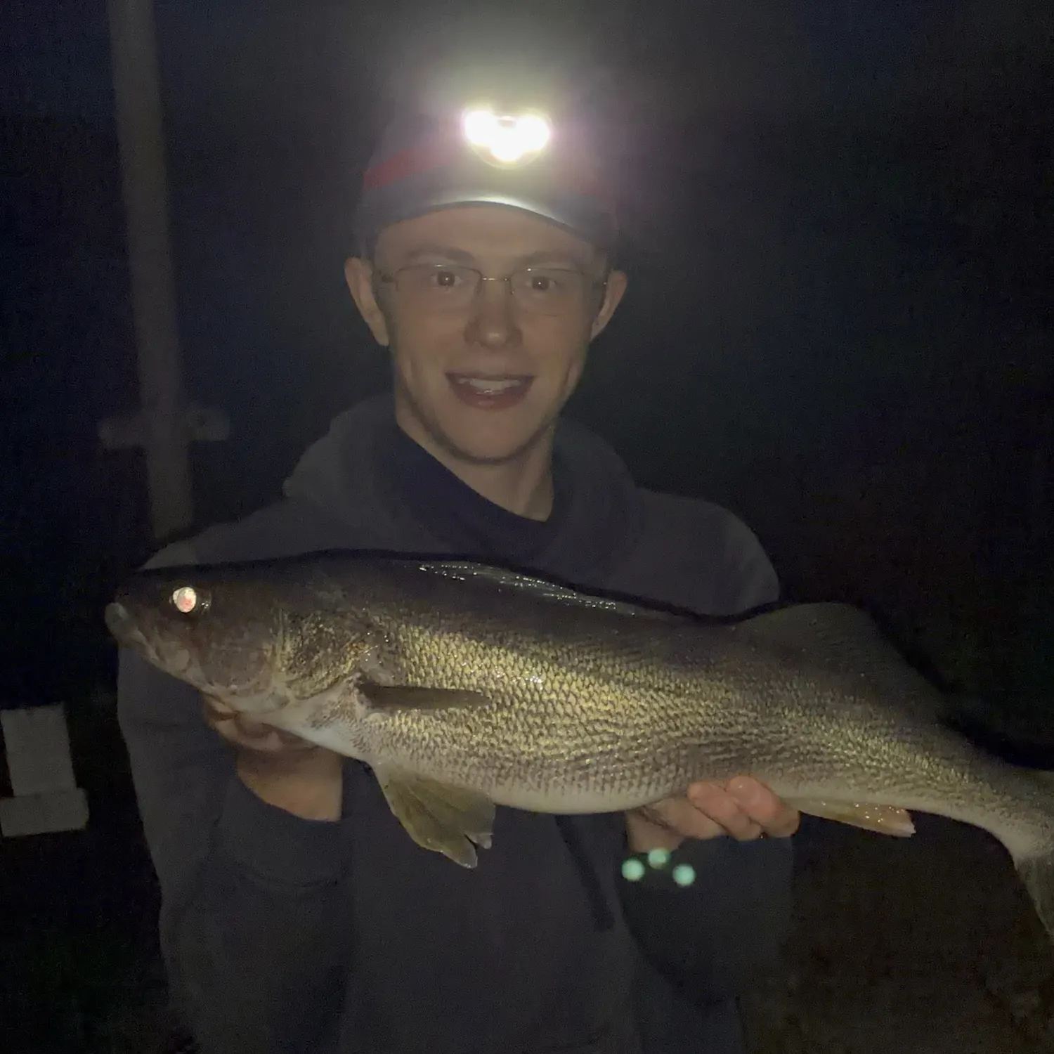 Walleye caught on Fishbrain
