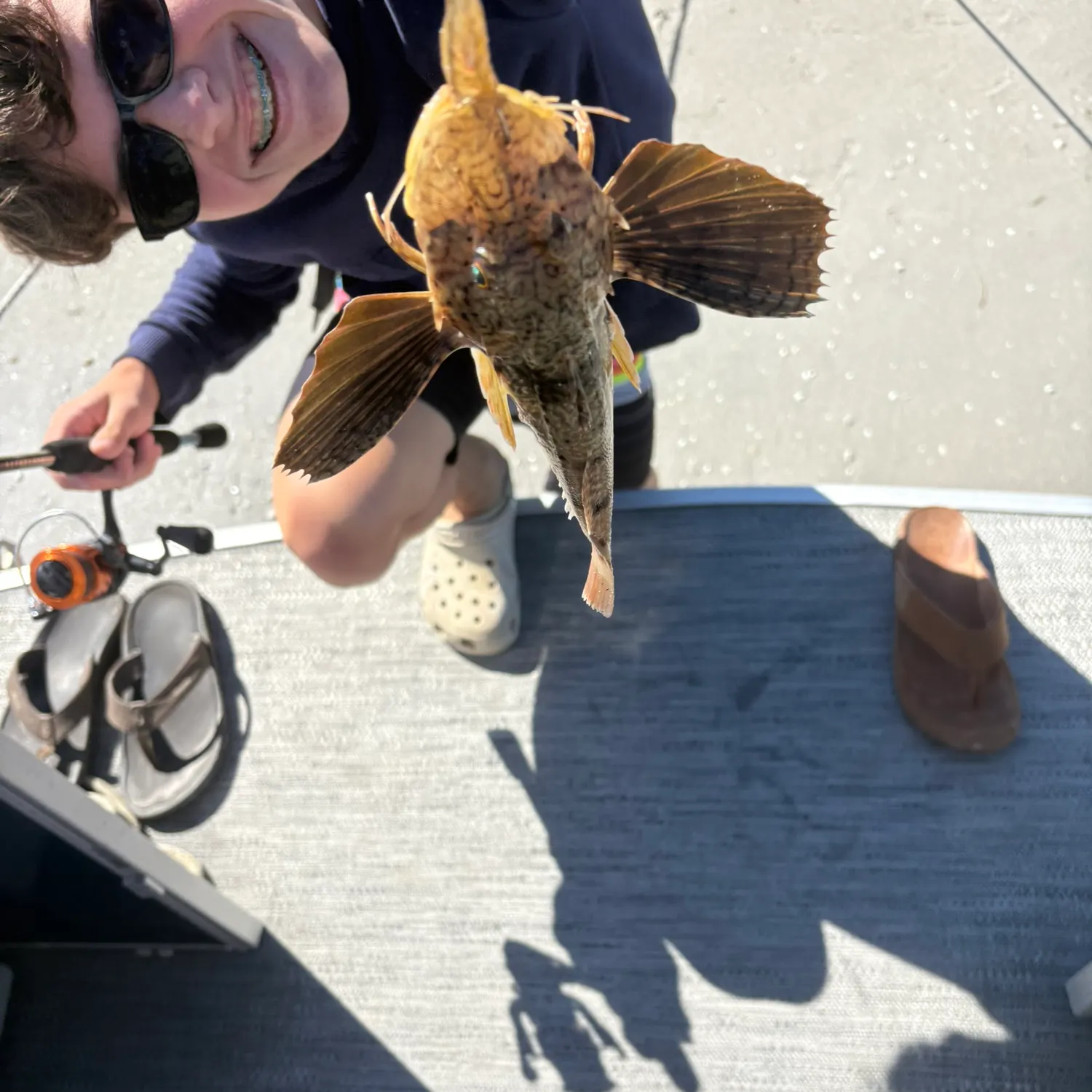 The most recent Striped searobin catches on Fishbrain