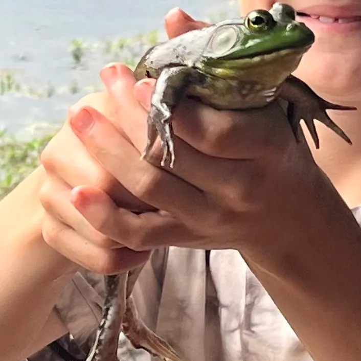 The most recent Longear sunfish catches on Fishbrain