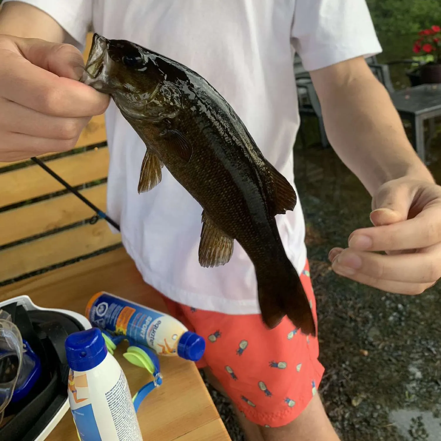 recently logged catches