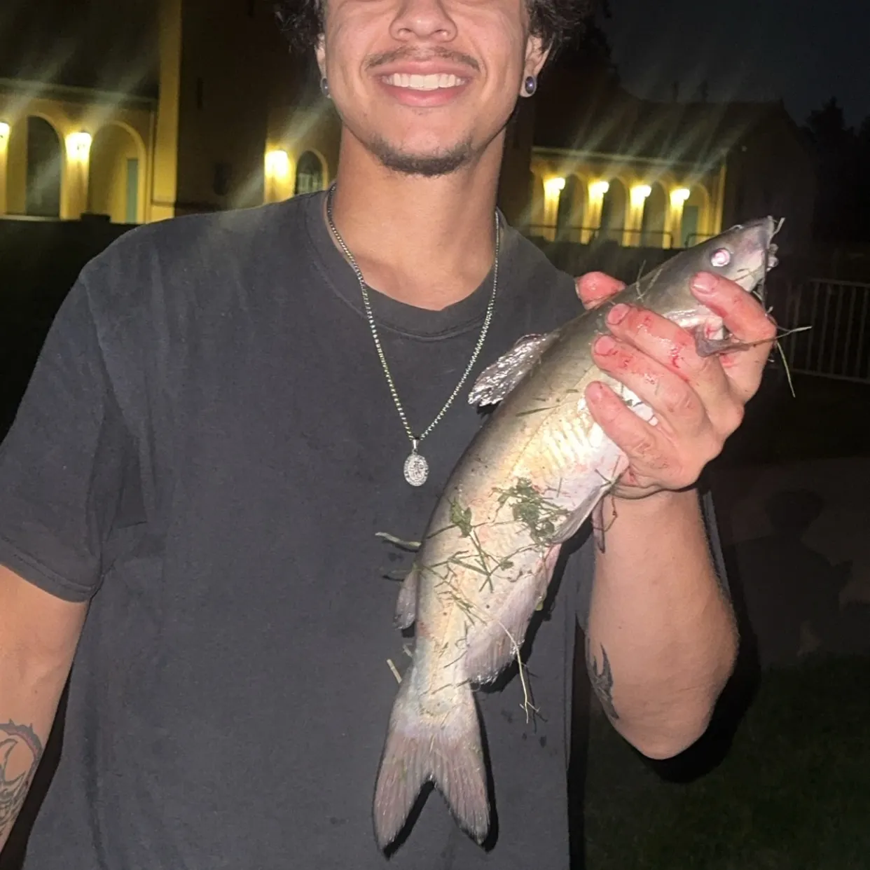 Channel catfish caught on Fishbrain