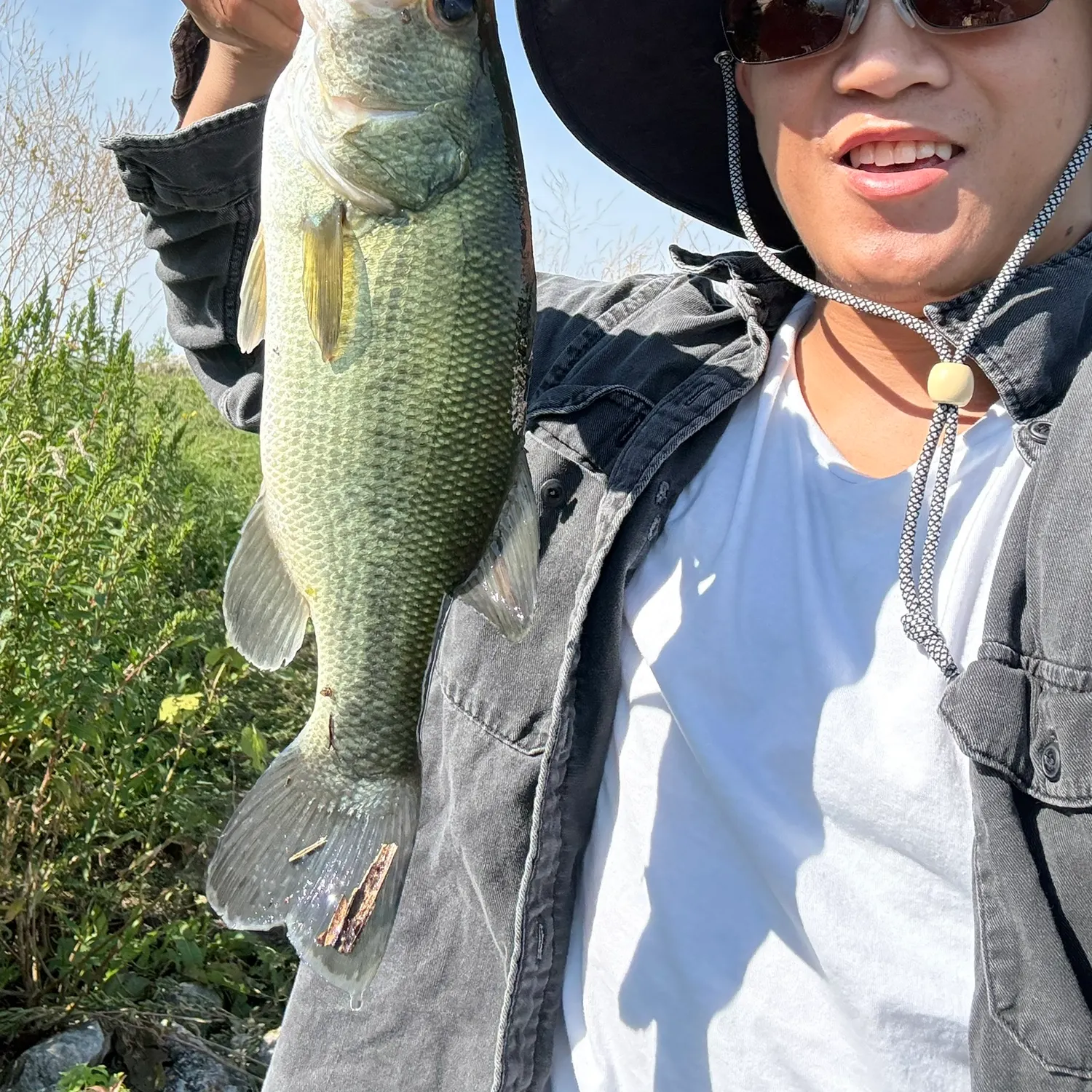 Largemouth bass caught on Fishbrain