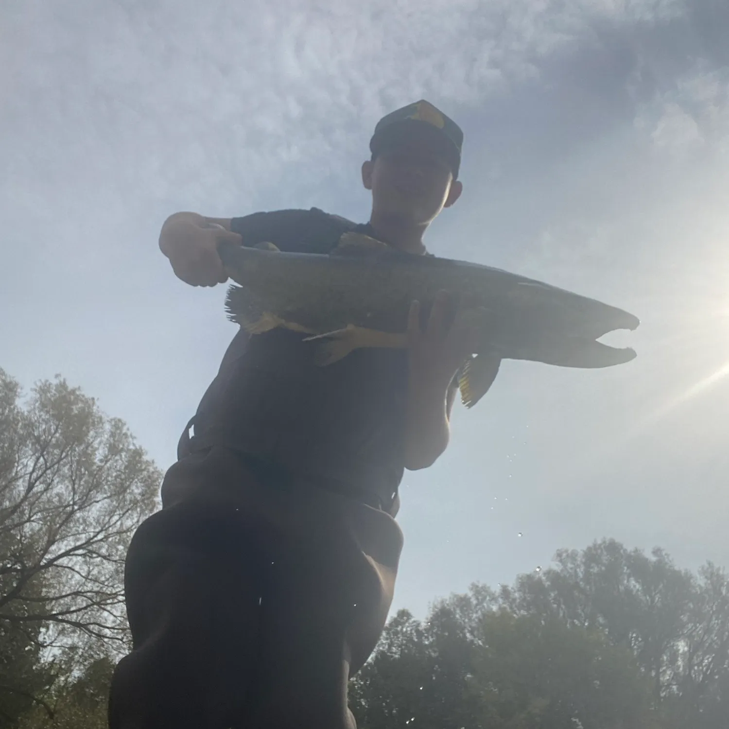 Chinook salmon caught on Fishbrain