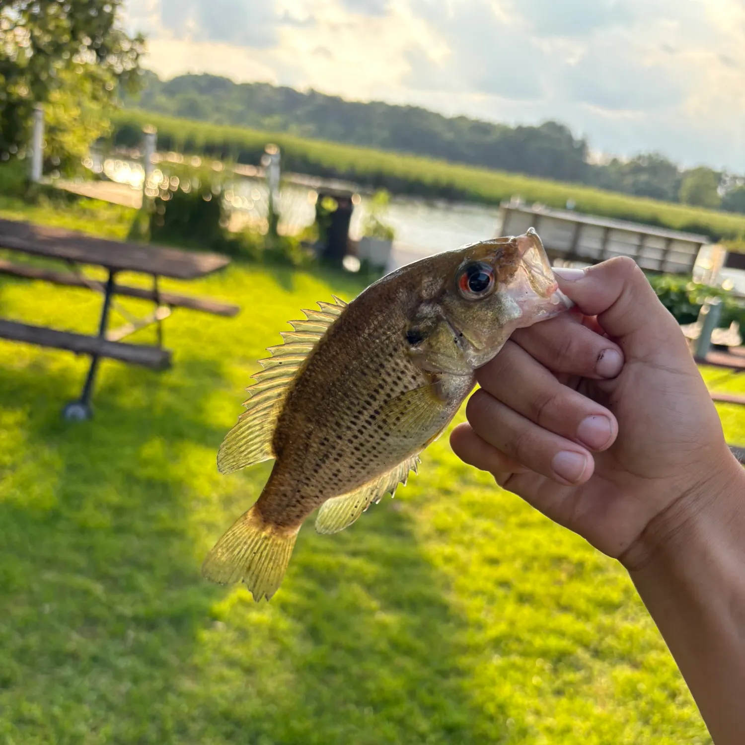catch