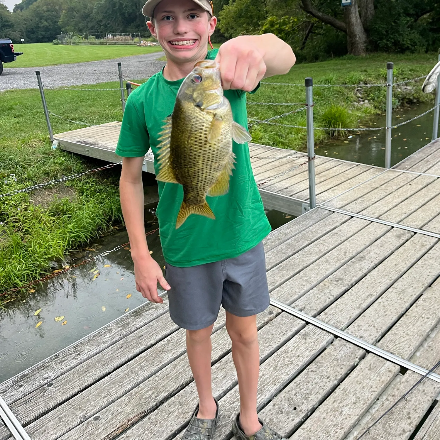 Rock bass caught on Fishbrain
