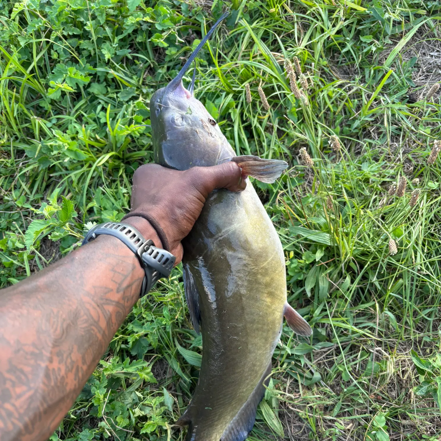 catch